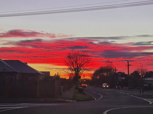 sunrise by @Chookwagn.png