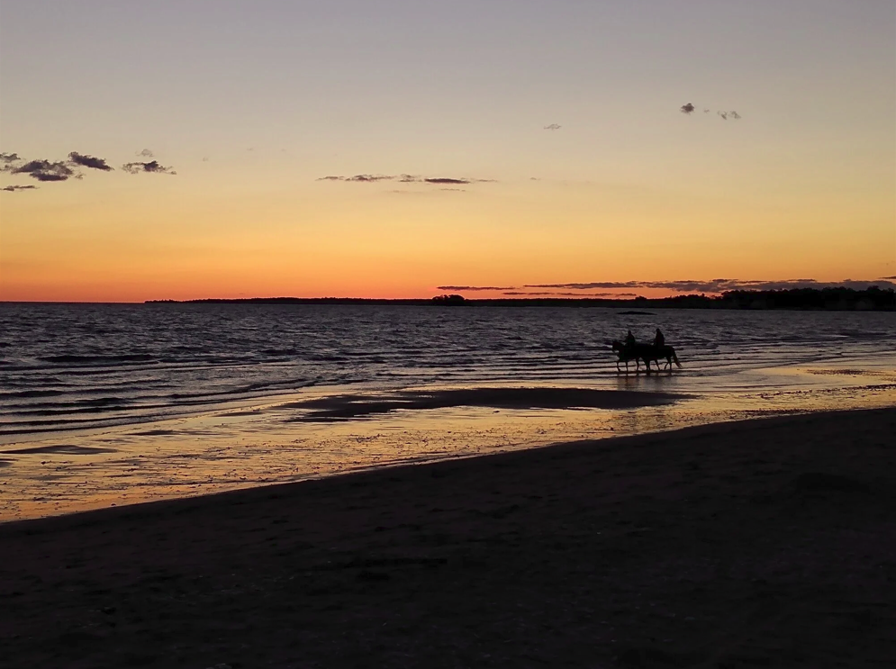 sunset by @HappyClucker7.png