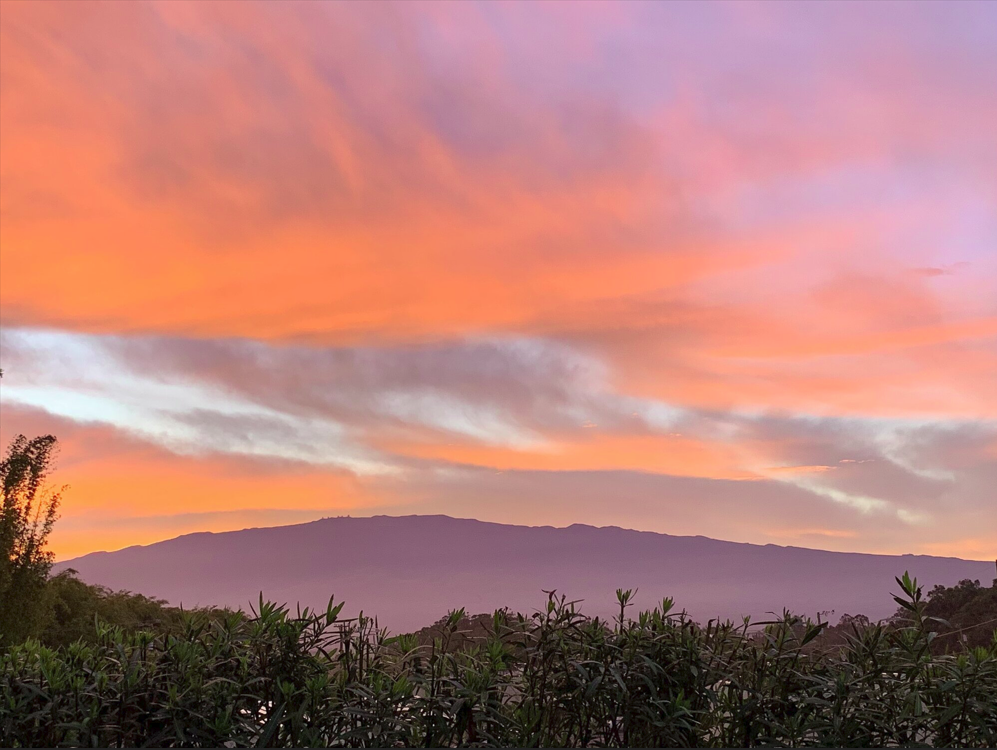 sunset by @LadiesAndJane.png