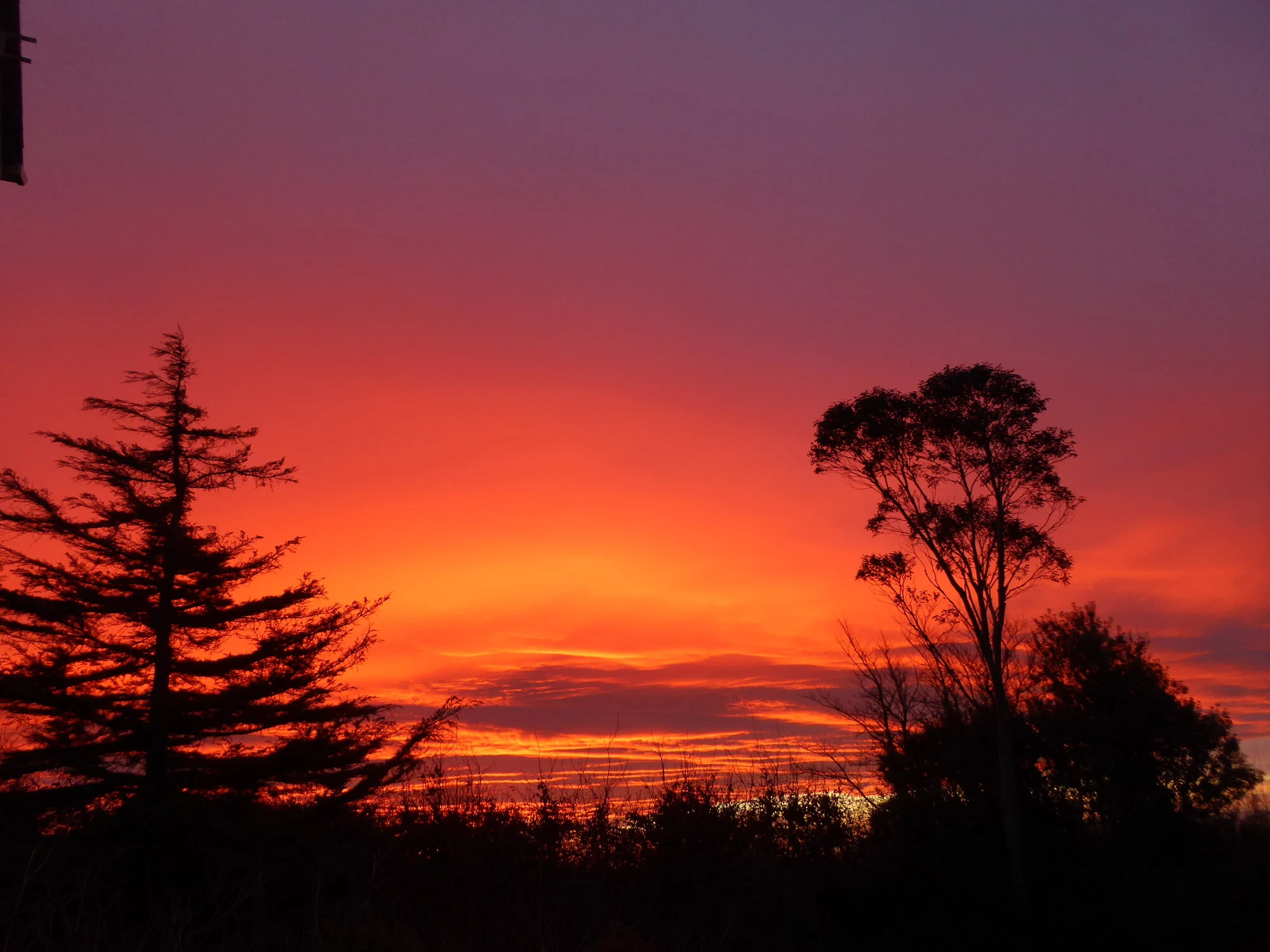 sunset by @Perris.png