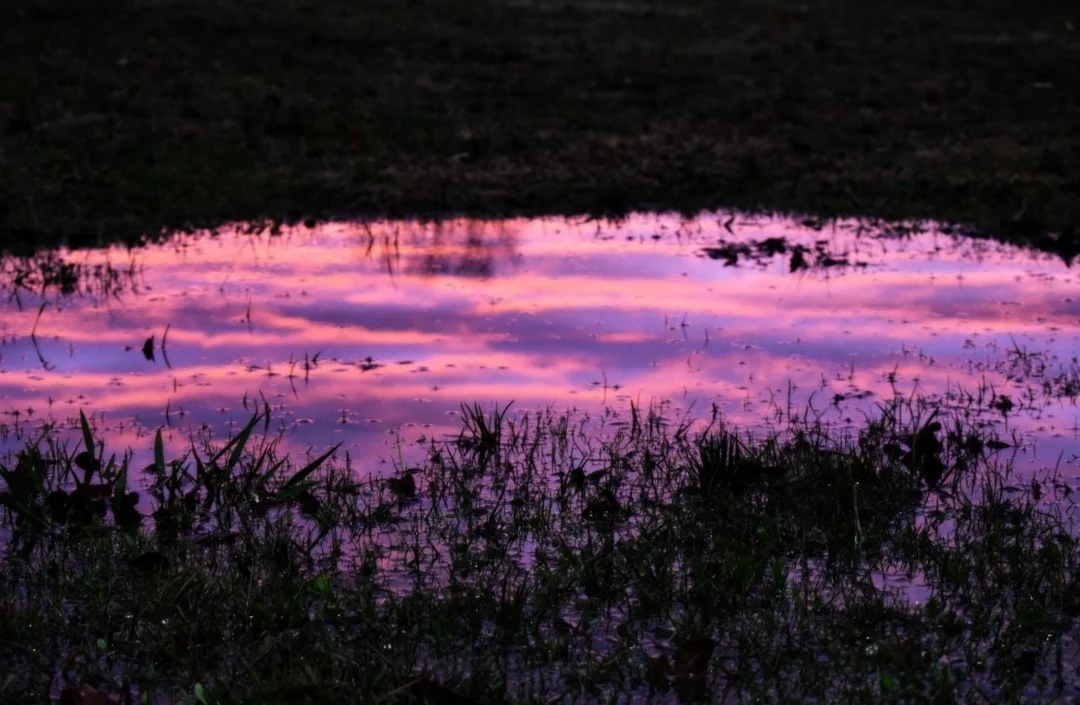 sunset reflection by @katelwil.png