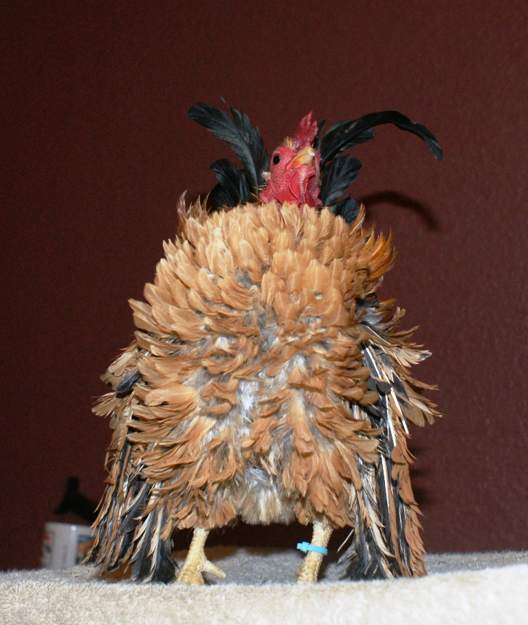 superman showing off