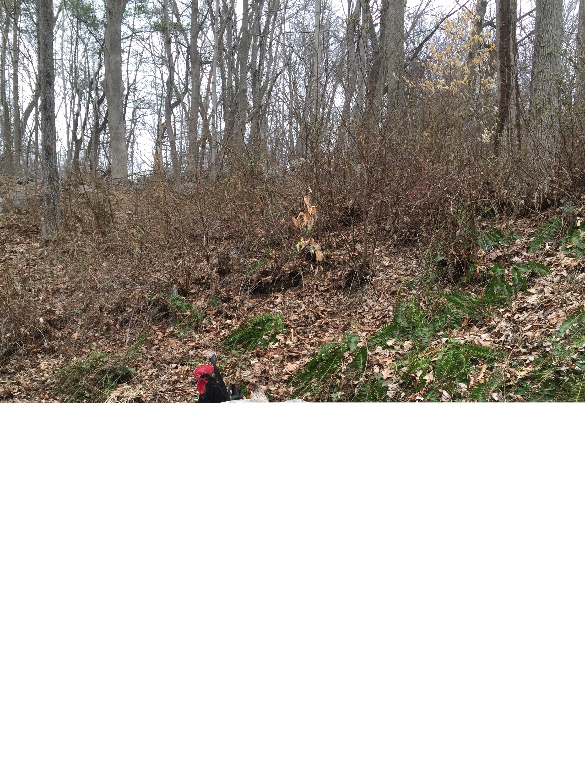 Supervisor Steve watching us work.