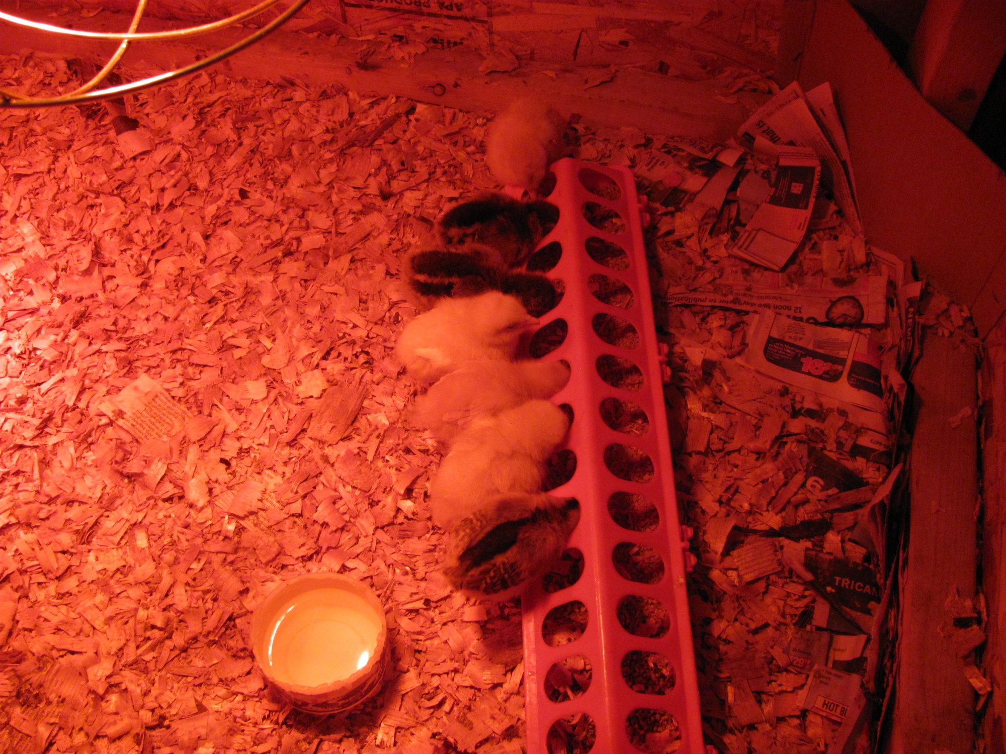Supper Time