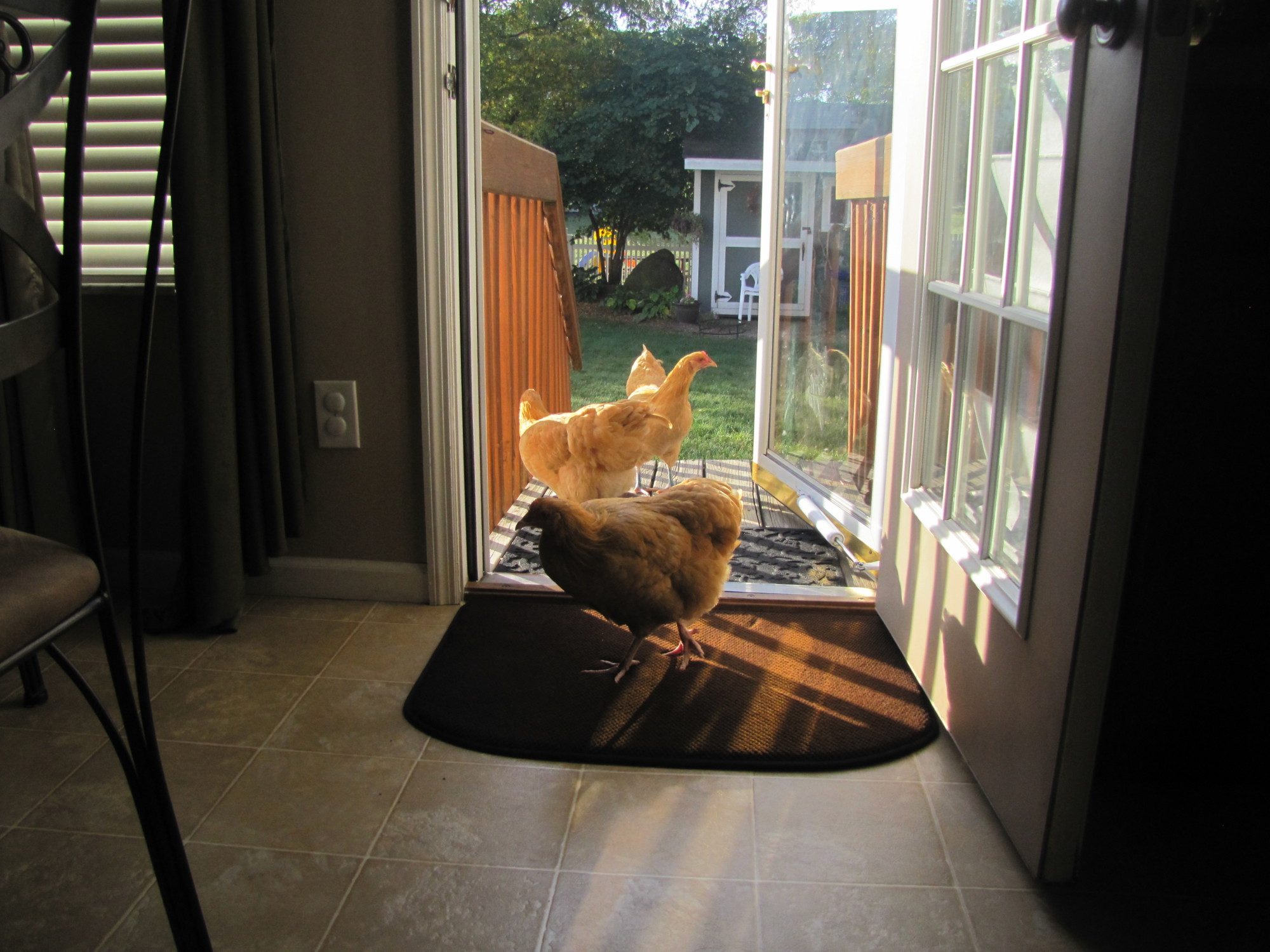 Sure just walk right in, make yourself at home.