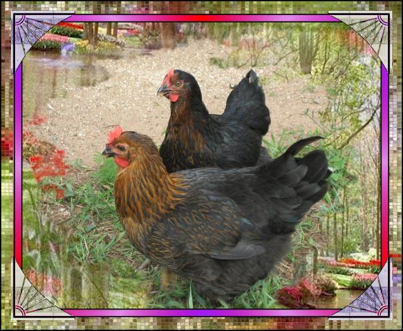 Suzi and Daphne