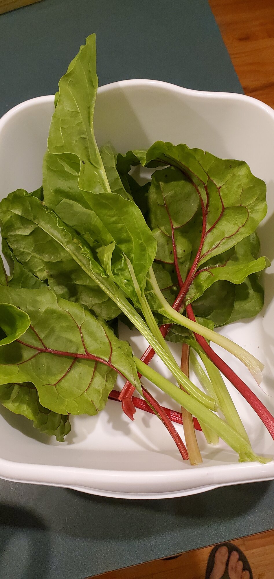 Swiss Chards from my own garden