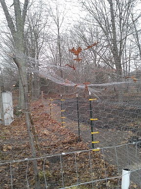 T-Post Insulators