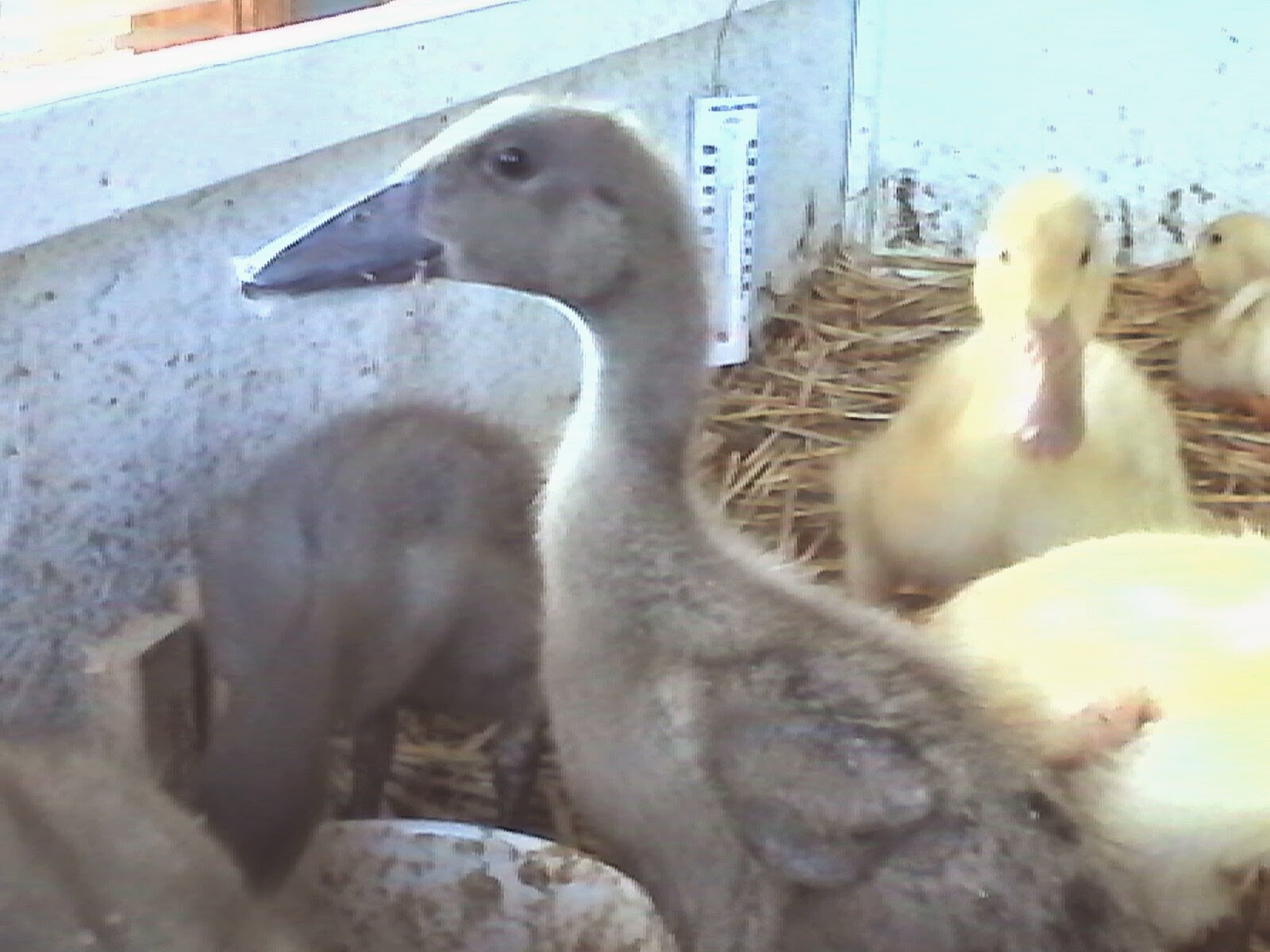 "Take my picture, please"