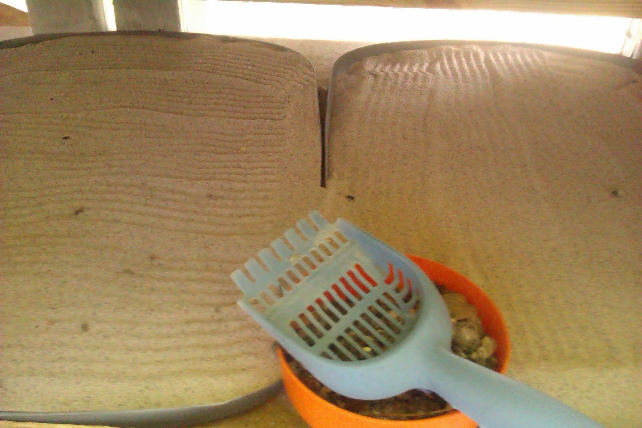 Takes less than two minutes to scoop like kitty litter and an extra minute to make zen designs. : )