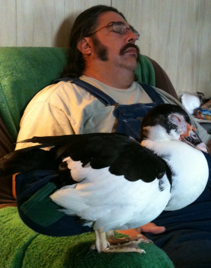 Taking a nap with Grandpa