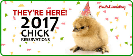 Taking Orders for 2017    661-238-8103