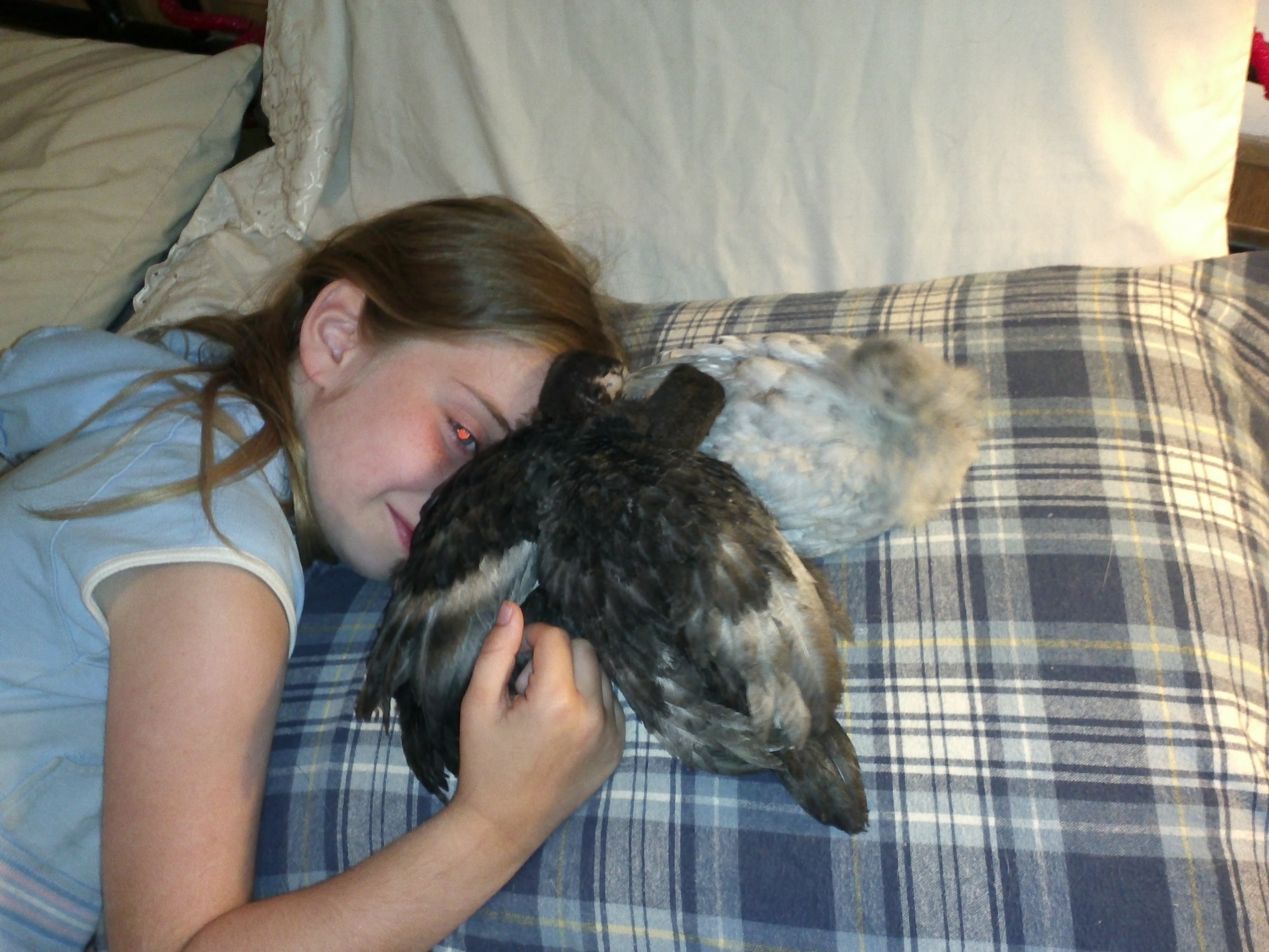 Taking over moms pillow