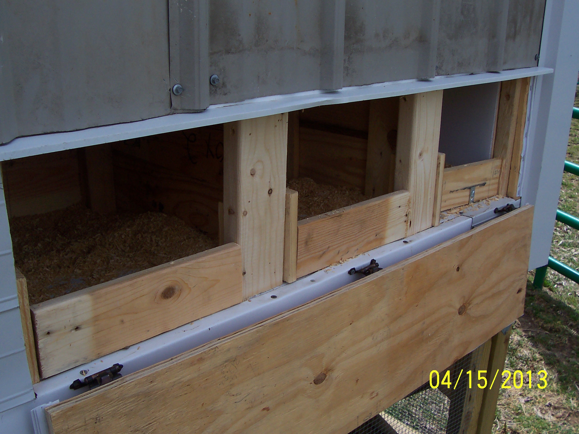 Tan coop rear nesting boxes access