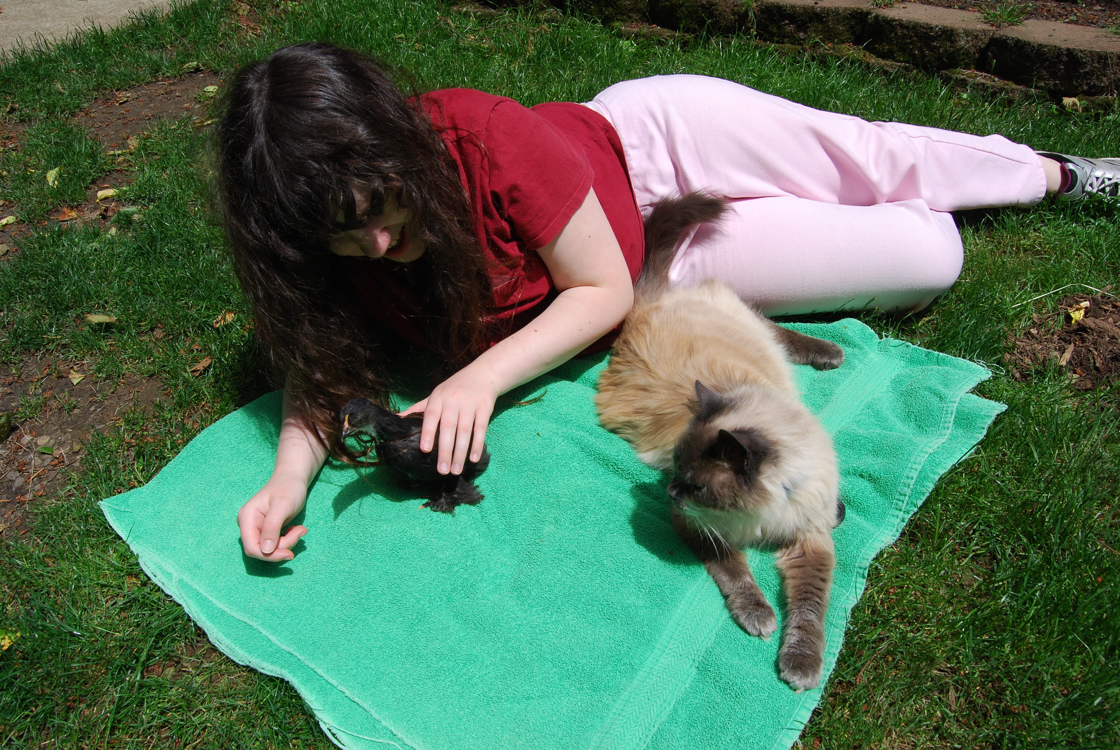 Tasha with Katarra and Gizmo.