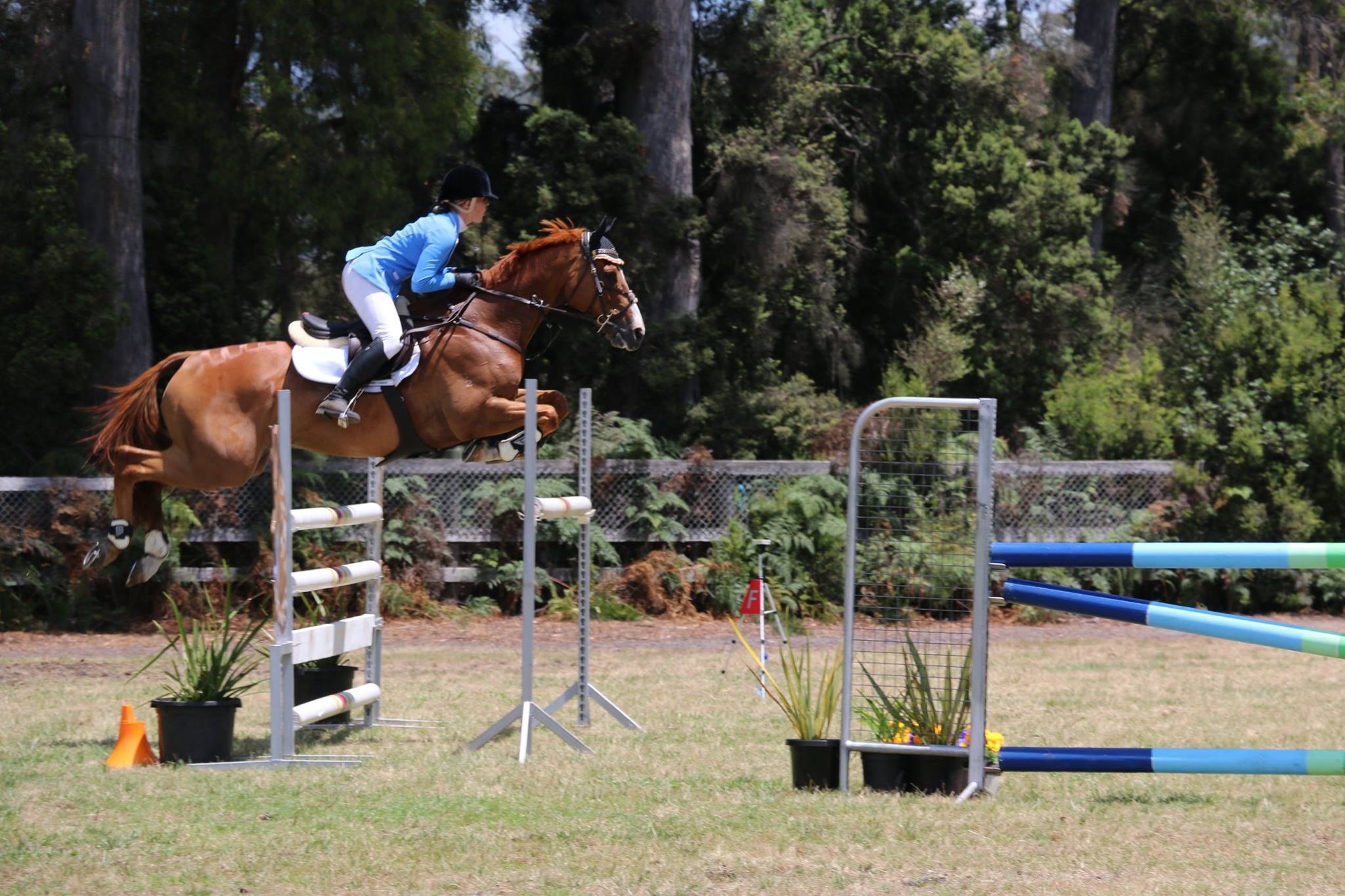 Tasmanian state titles 2014