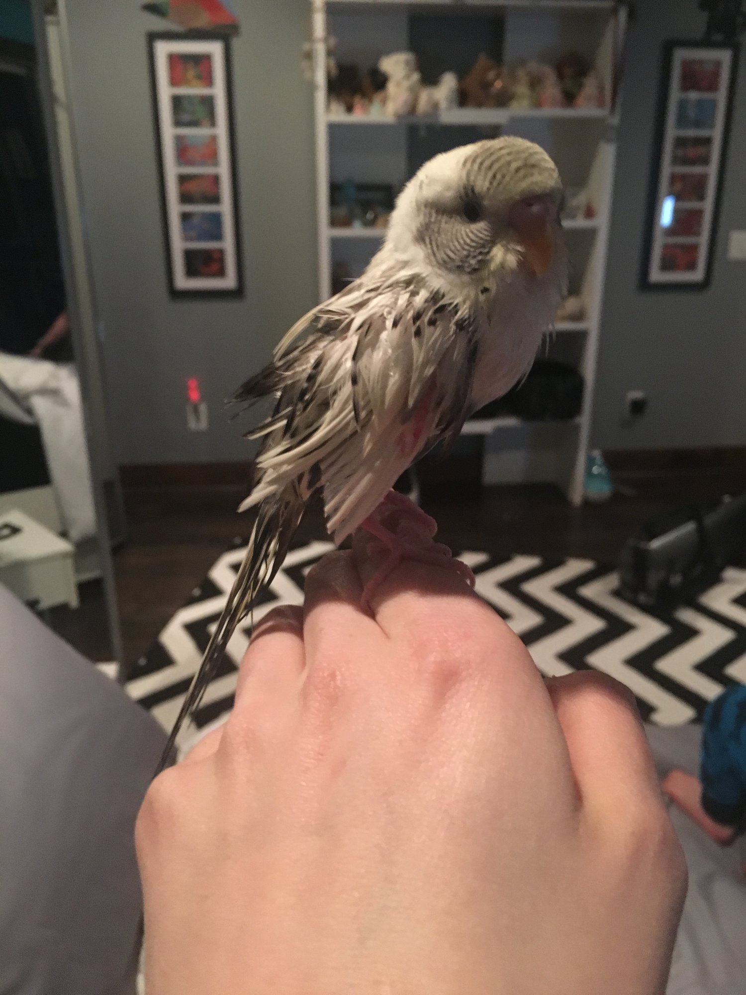 Teah's first bath