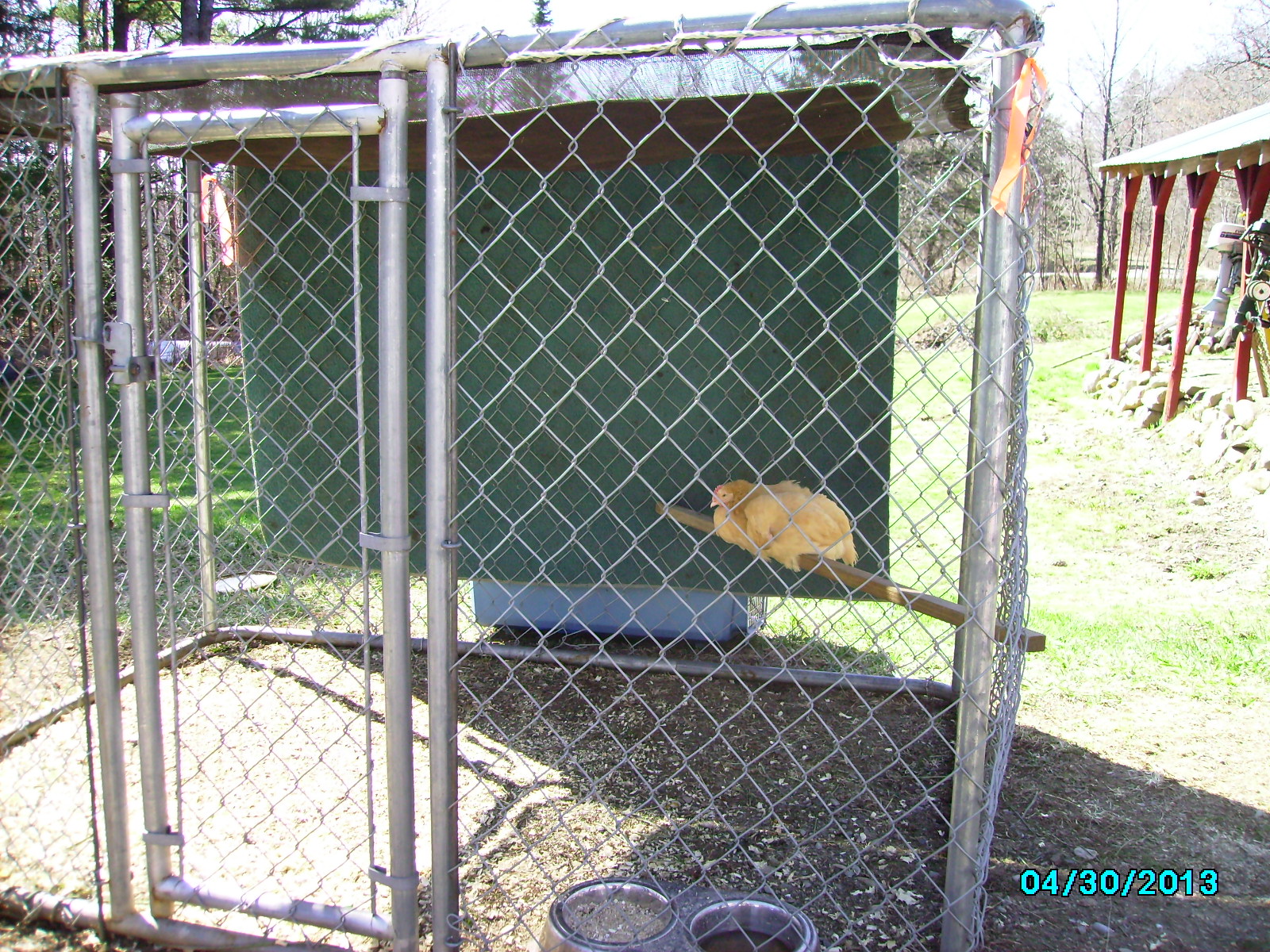 Temp. pen for first chickens. (OP's)