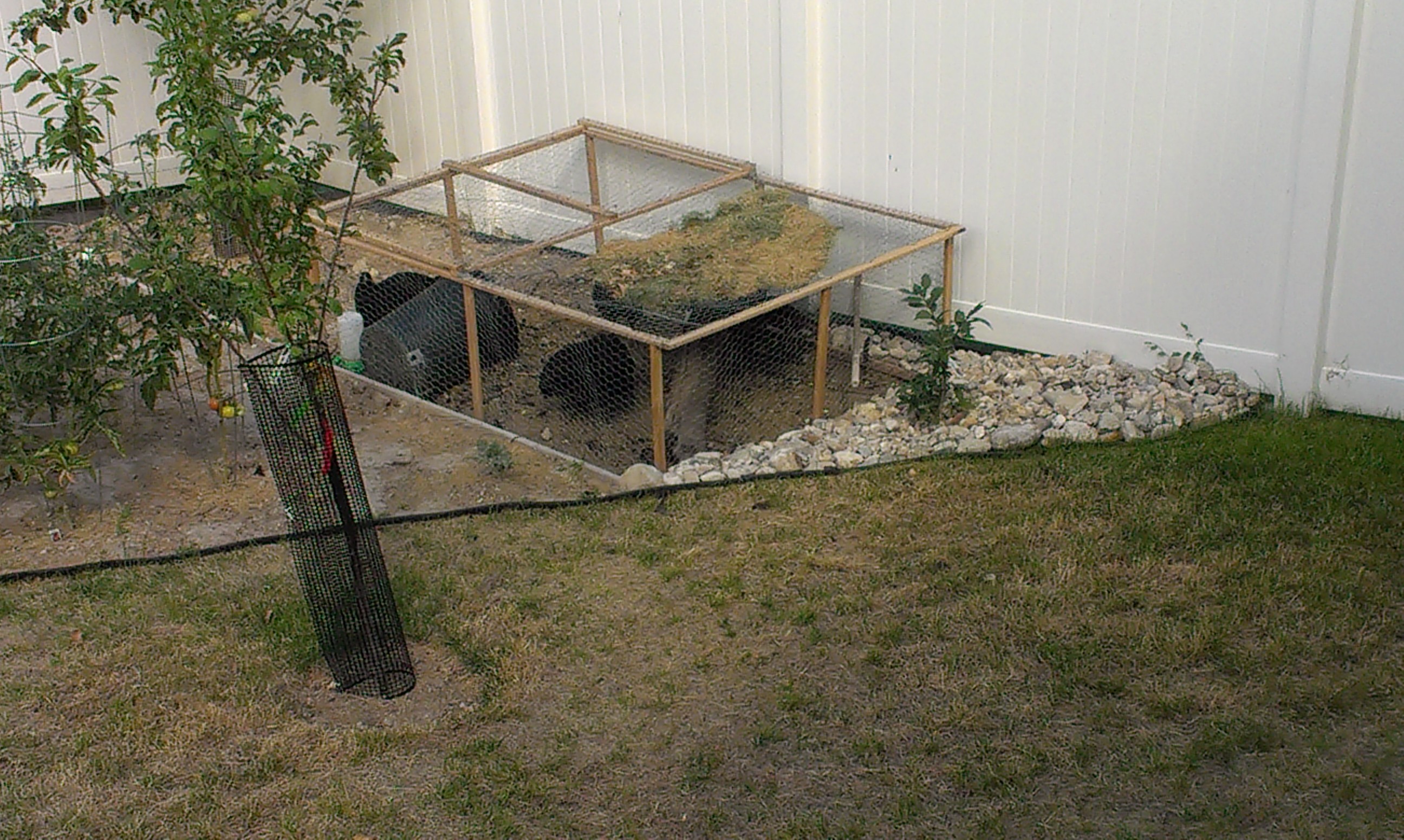 Temporary housing for our slow maturing Black Aussies