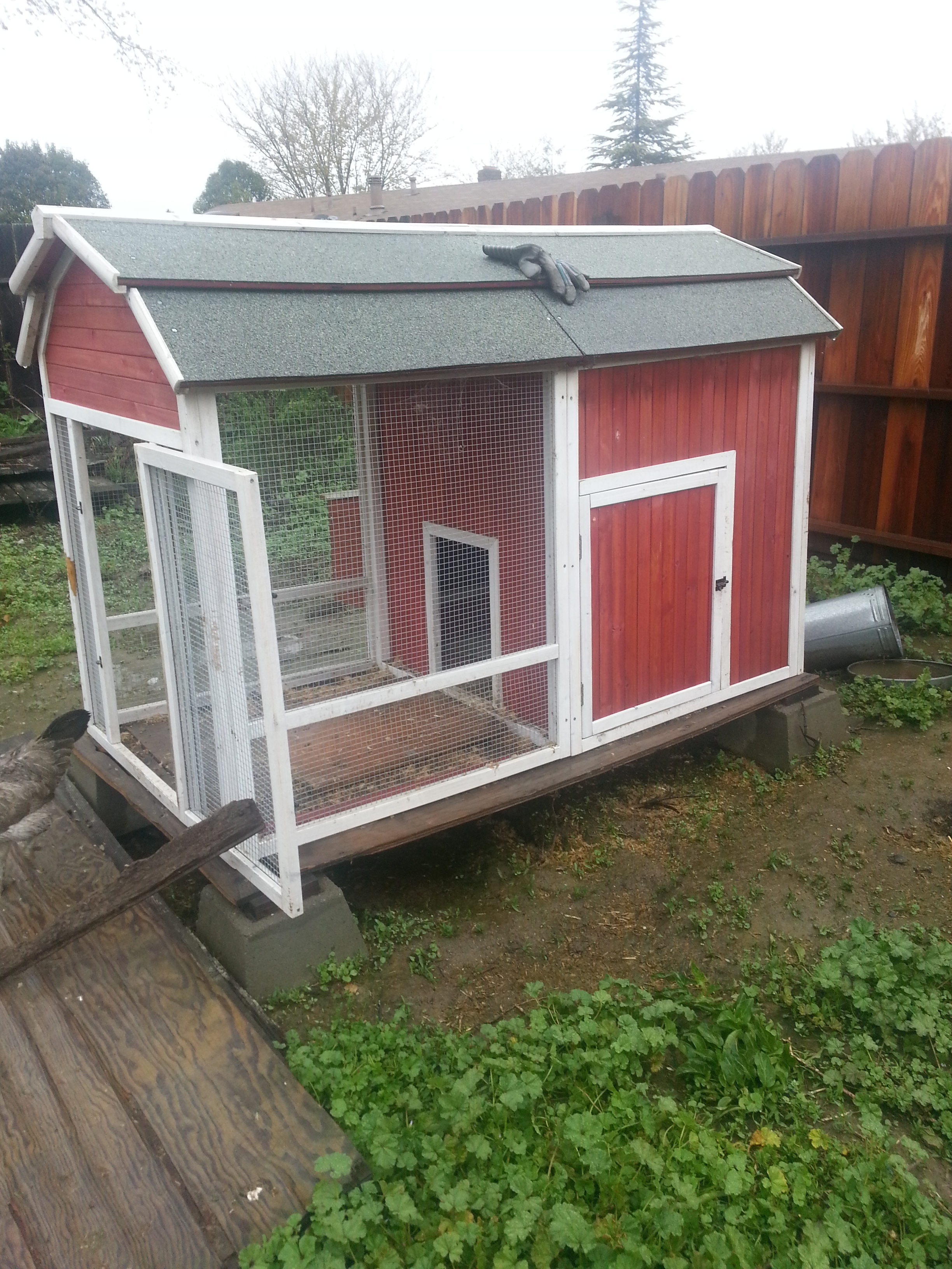 Temporary Housing, or homeless shelter. When someone (ahem, my frizzle bantam idiot chicken) does not go in at night, they tend to hang out in here. I found this out by surprise. The geese occupied it for two days while their apartment was being renovated.