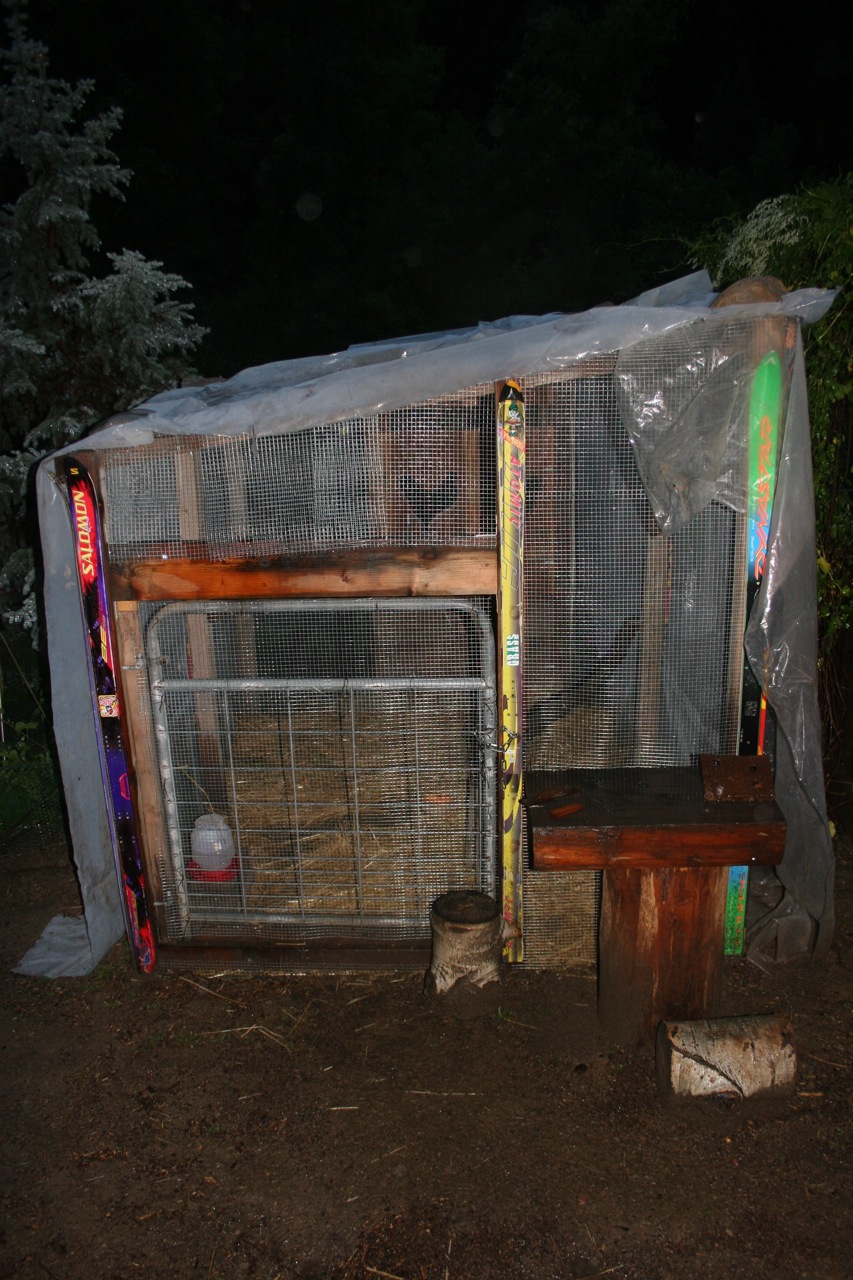 Temporary rain cover