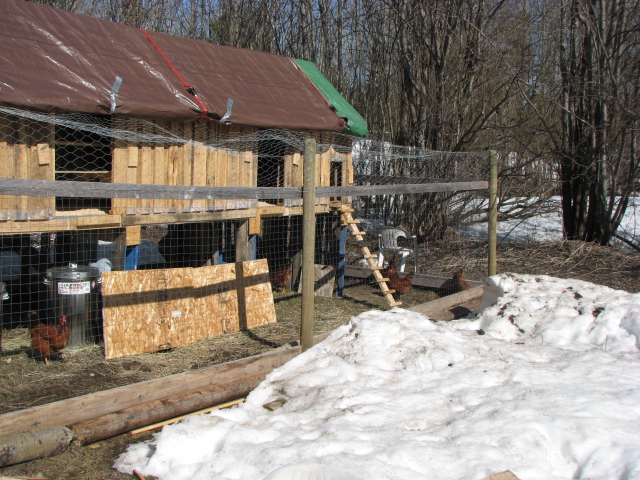 Temporary roof until the metal one can be installed