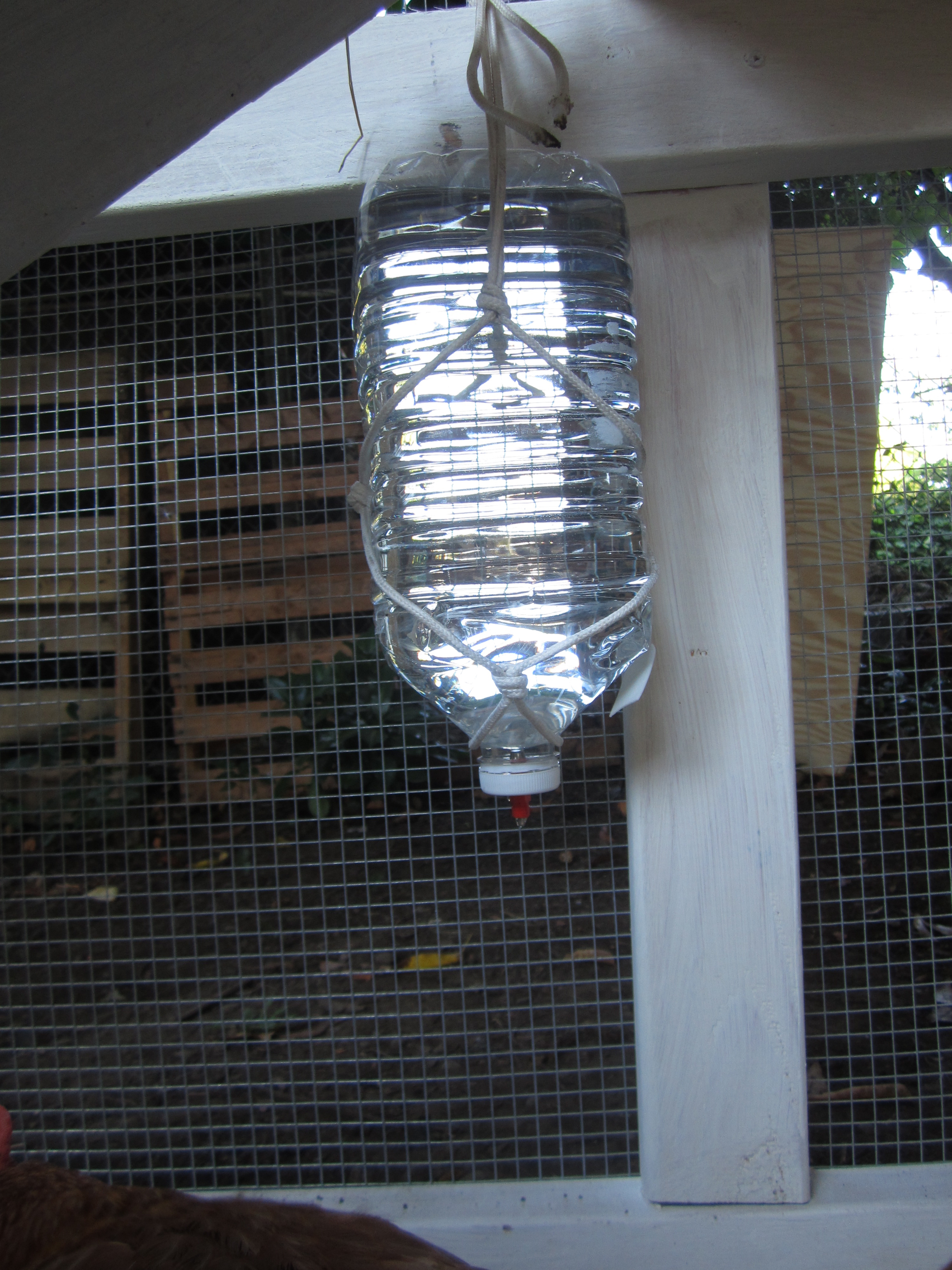 Temporary water bottle with nipple