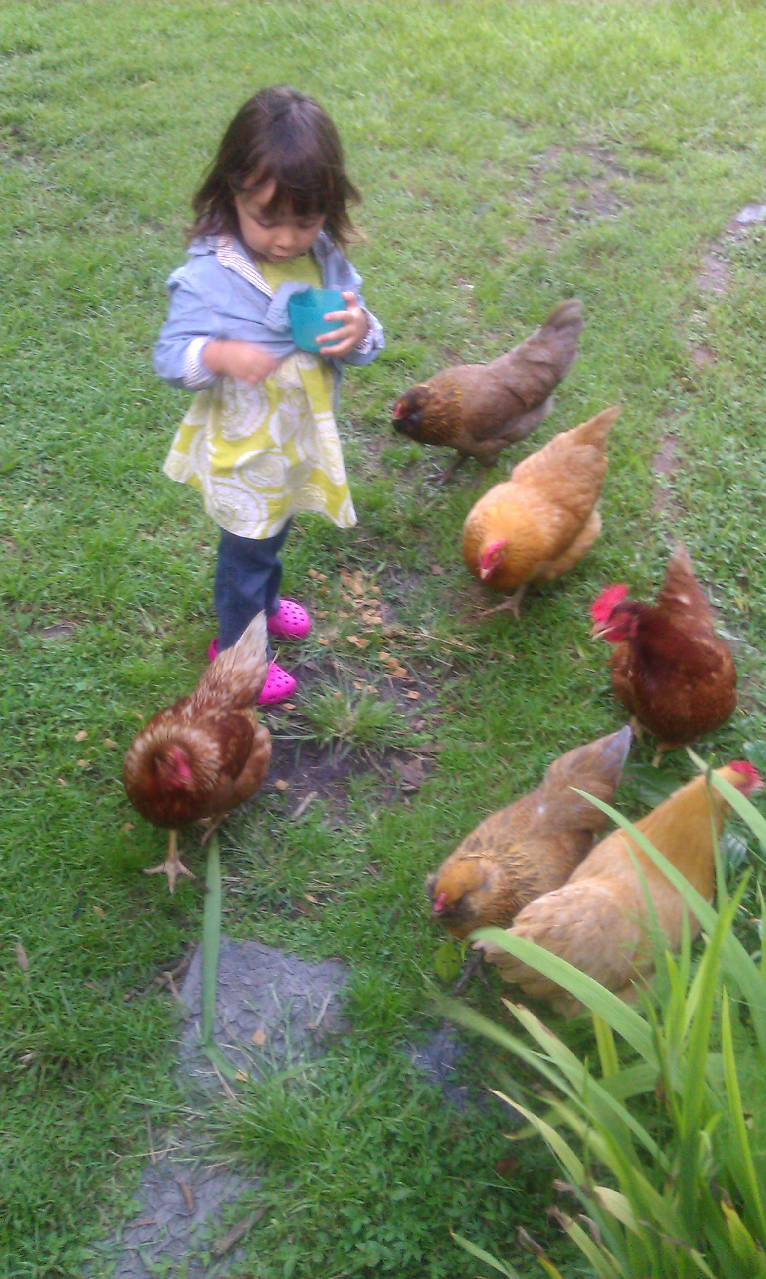 Tending the flock