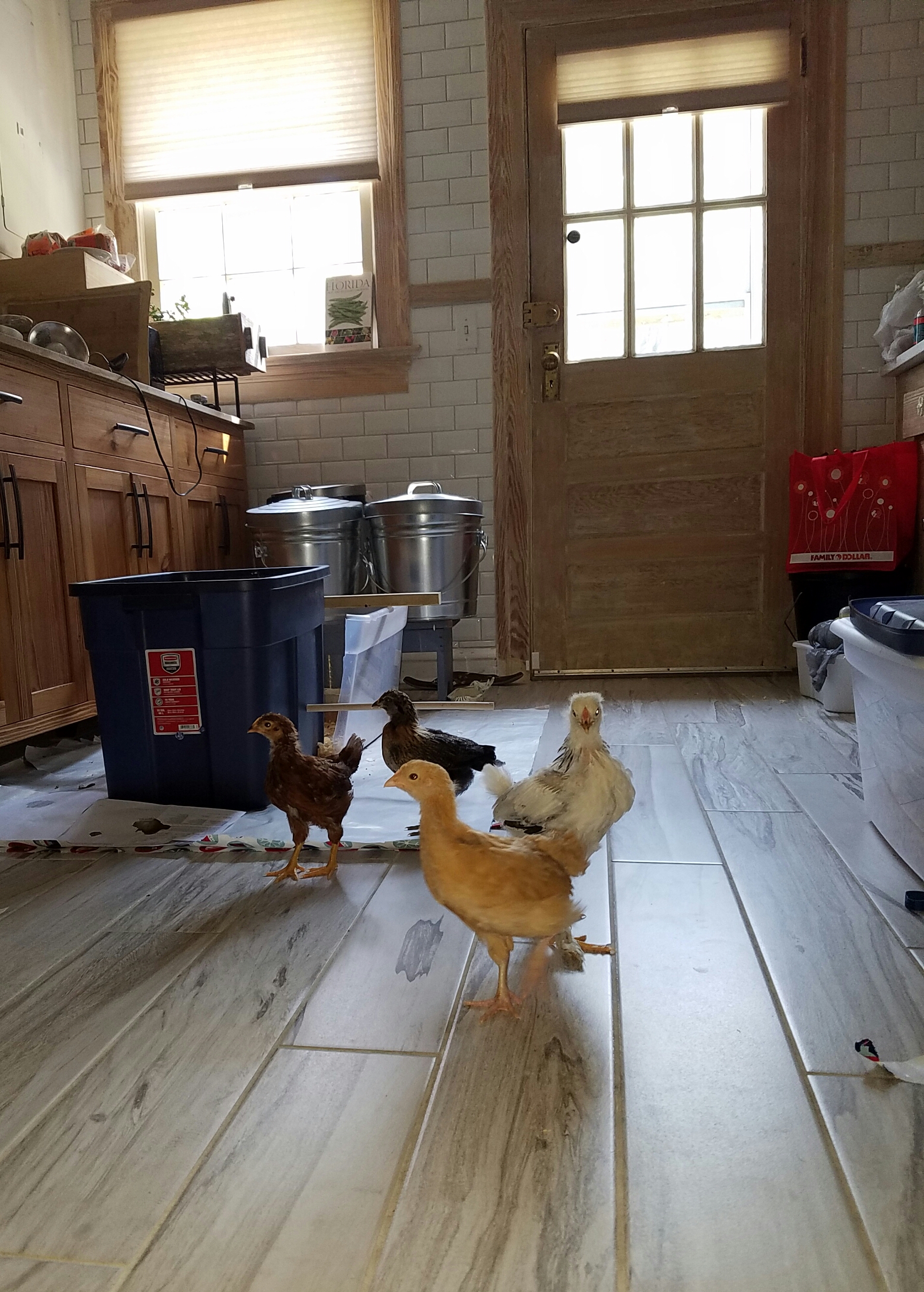 Testing their boundaries...it's time to take the girls outdoors - last day in the crib :(