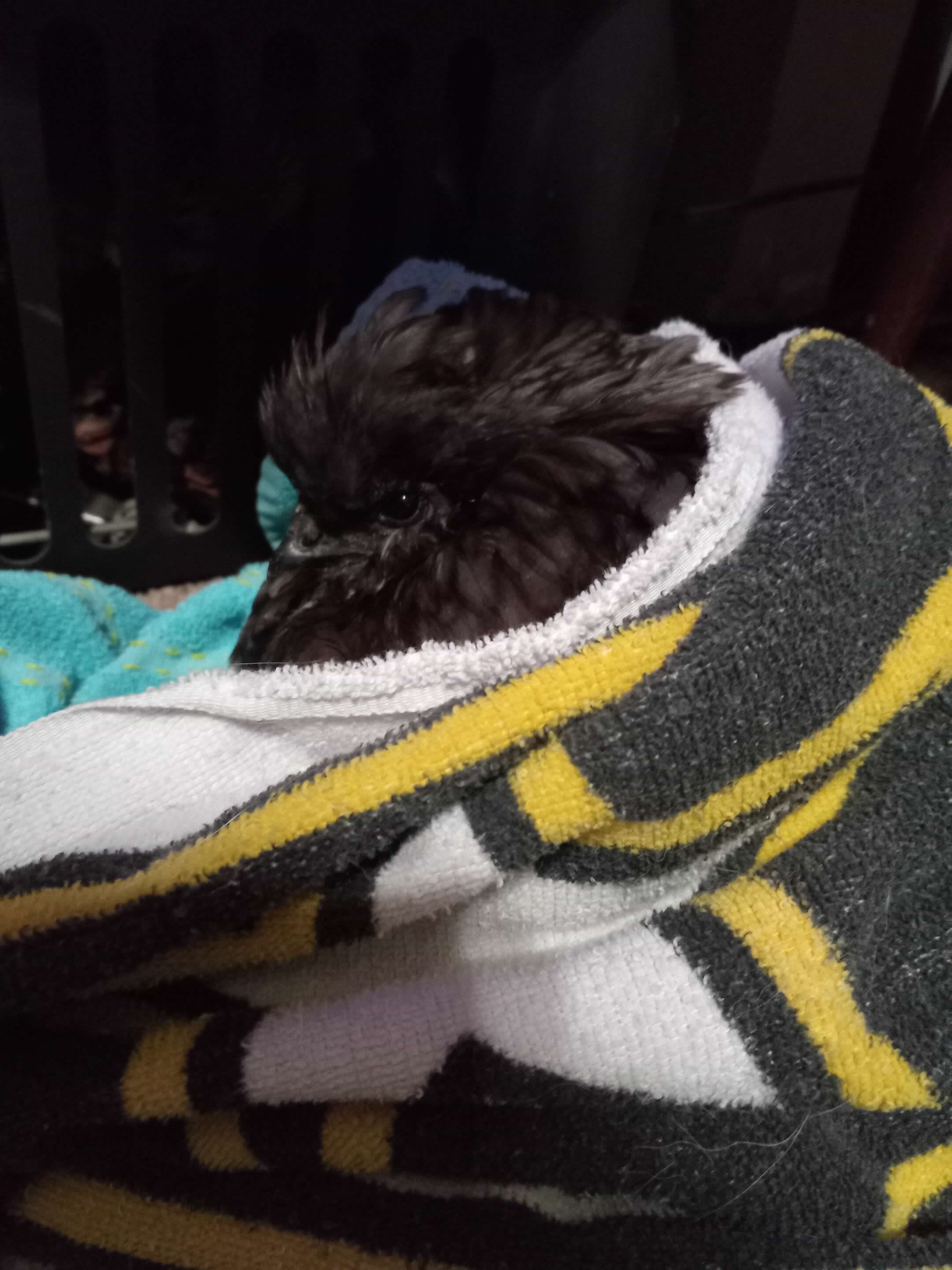 That one time she almost died...