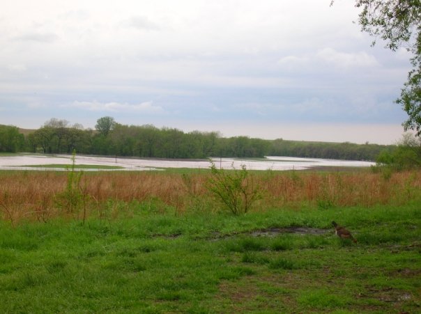 That was a field by our house.  All I can say is: it rained a lot the night before....