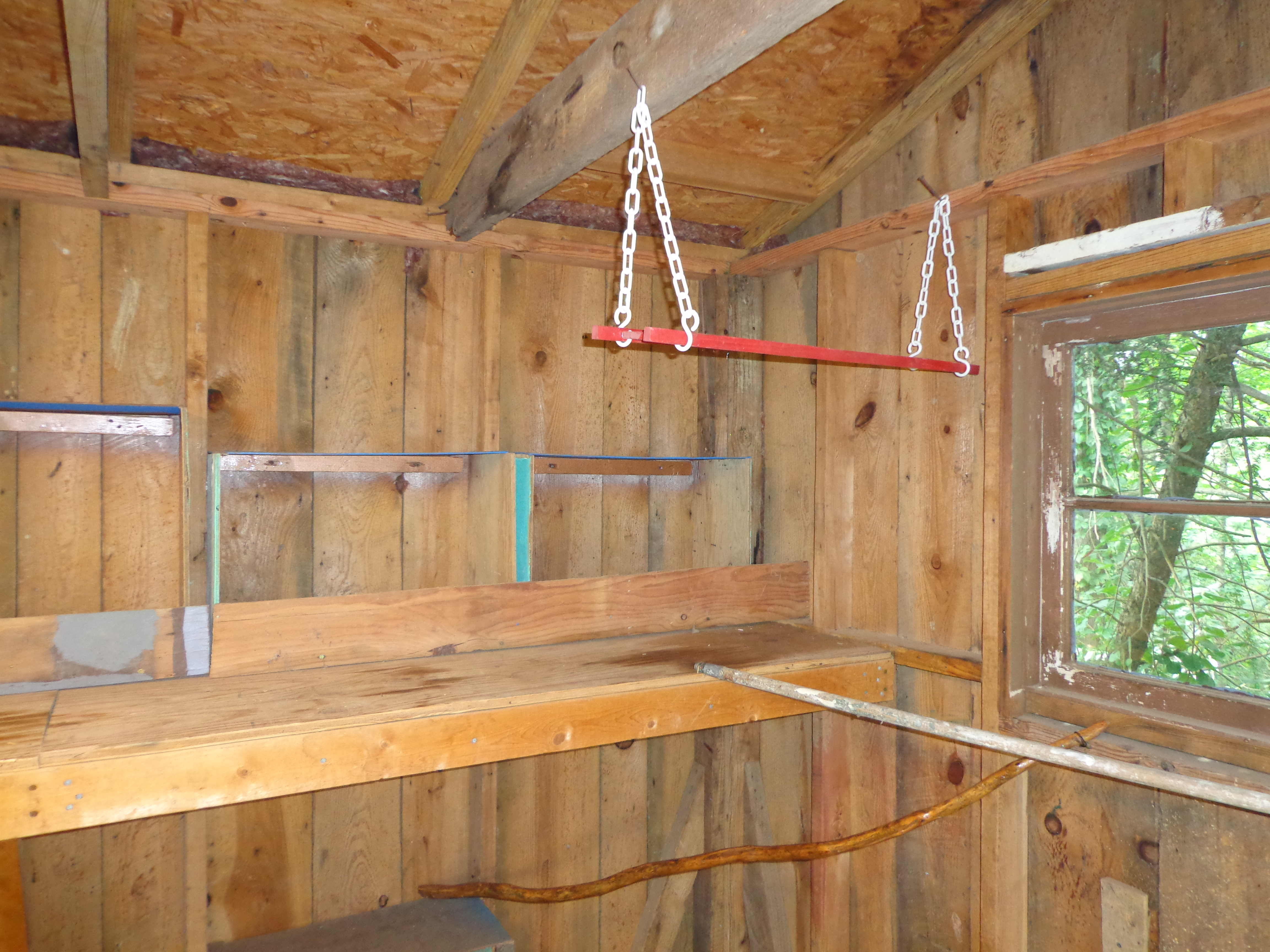 That's a swing but I think it might be up too high.