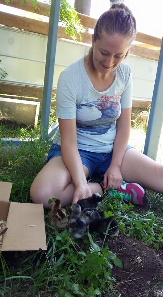 That's me and the little chicks when we first helped them get up the nerve to leave the box. They stayed pretty close for a while, and then ran all over the place :)