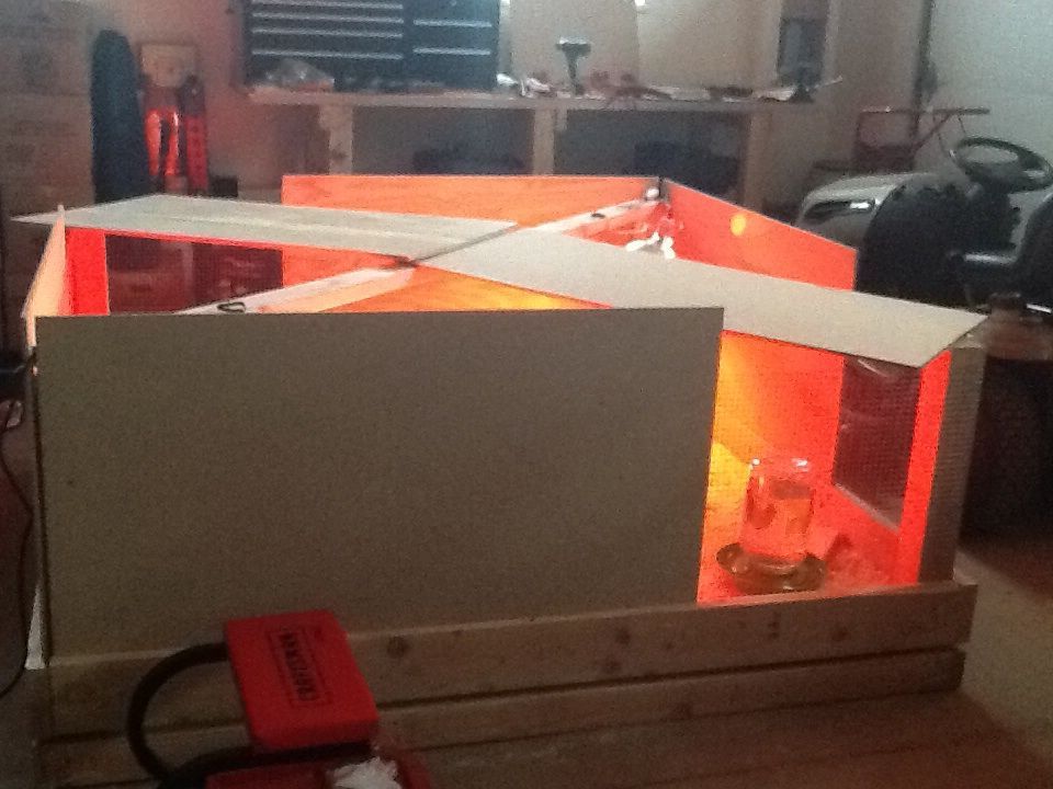 The 6x6 brooder for 18 chicks. They loved it until they were ready to get out!