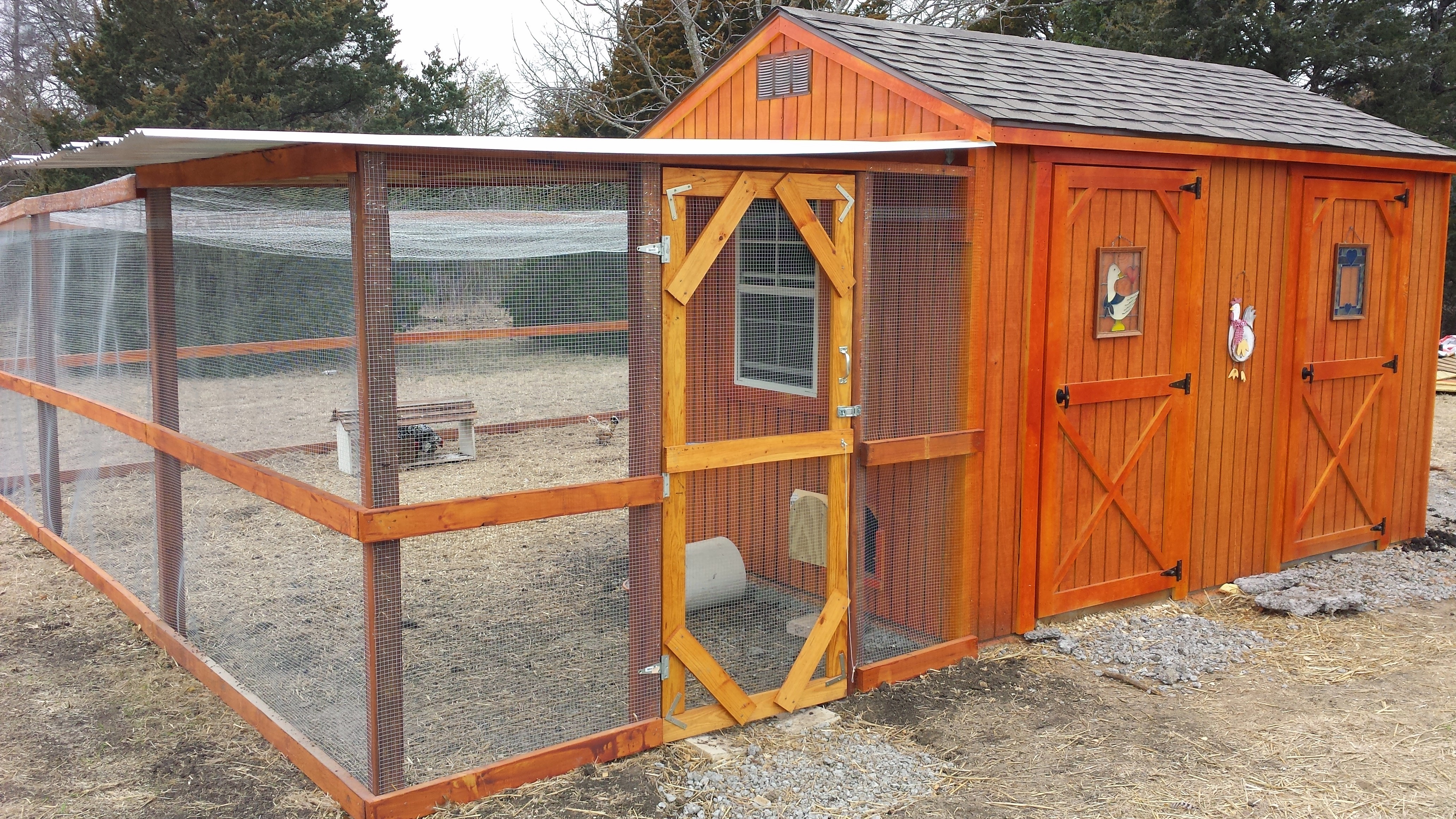 The 8x8 section just outside their window and door is covered with corrogated tin that drains outside the run area.