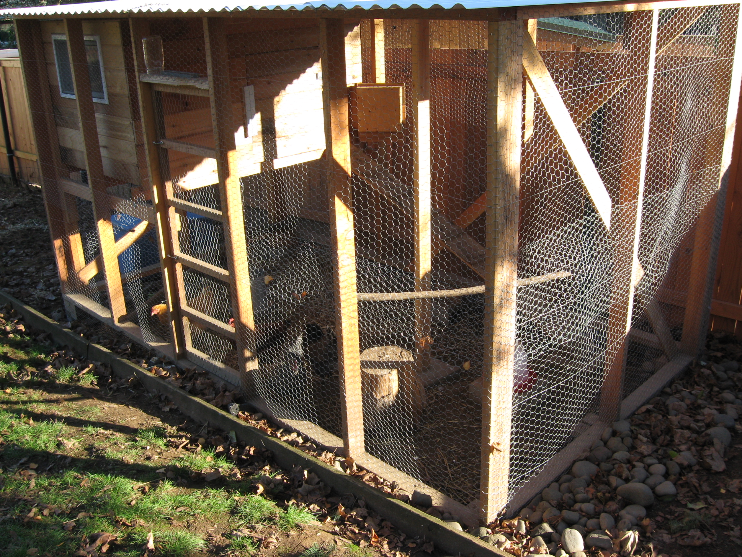 The actual chicken coop sits up in supports and allows for a dry area under it even in the wettest weather