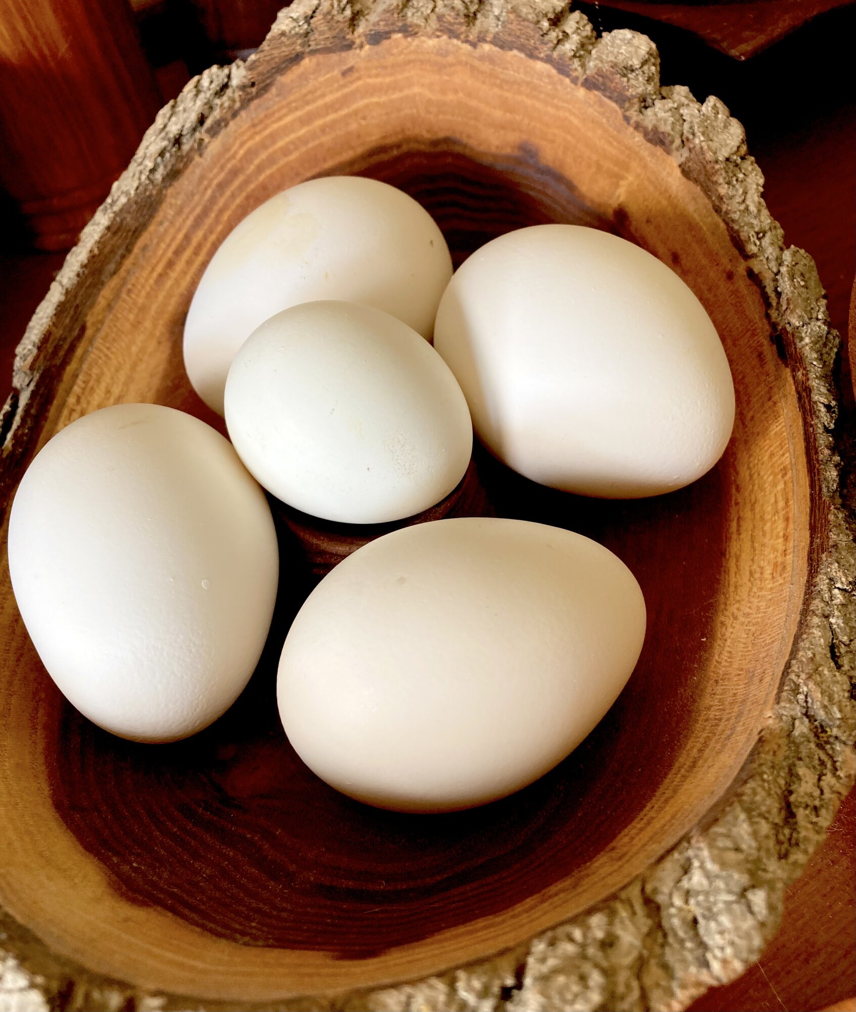 The Artistry of Eggs—A Still Life Photo Contest 17.jpg