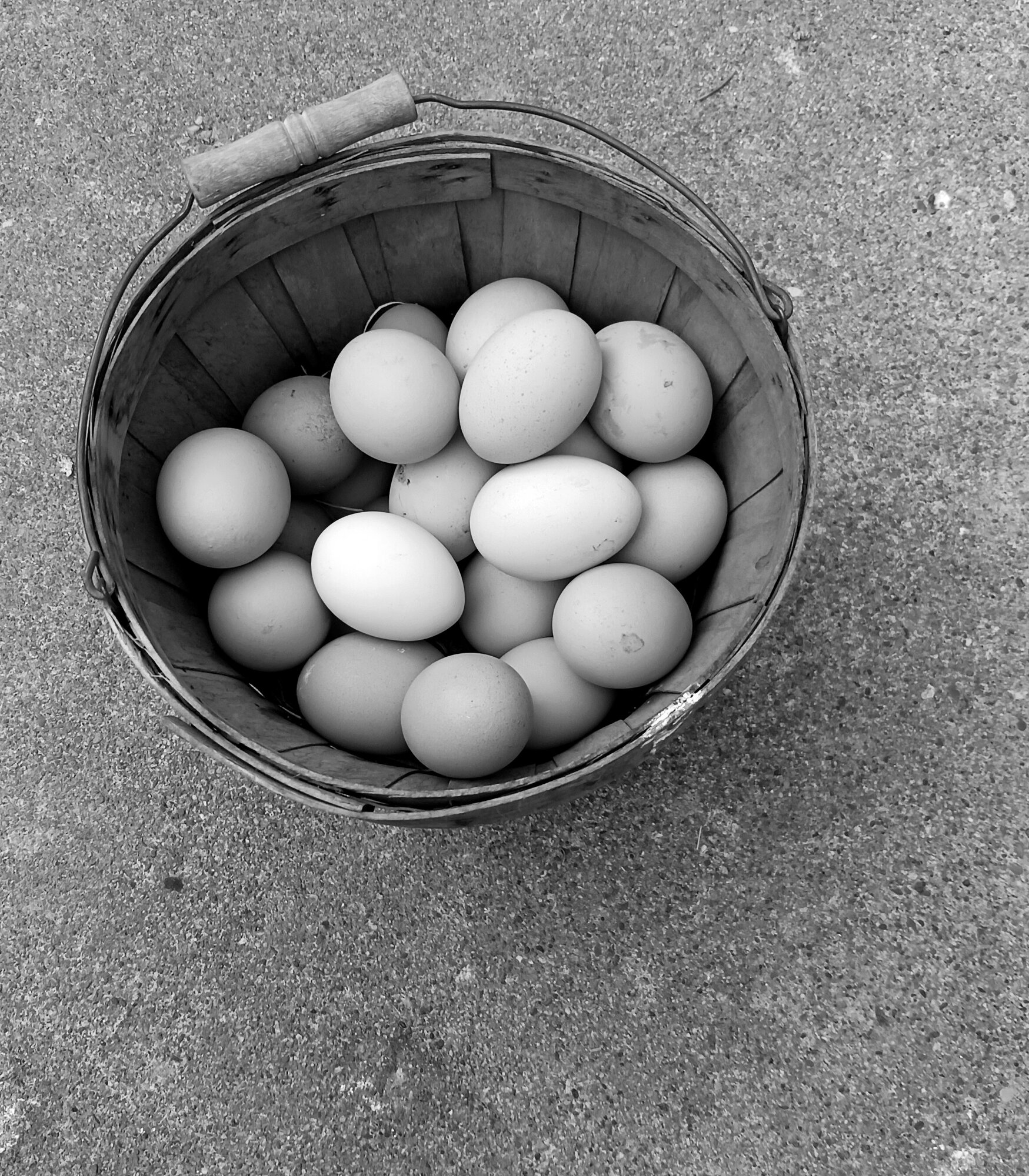 The Artistry of Eggs—A Still Life Photo Contest 2.jpg
