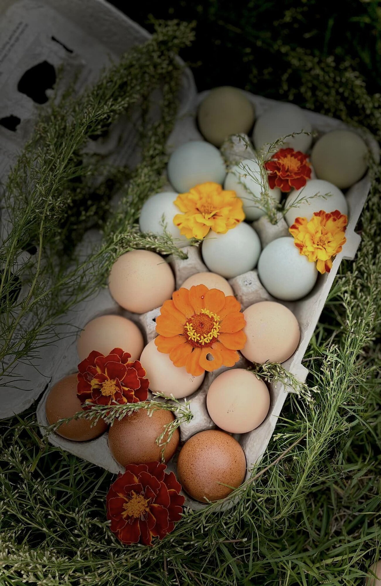 The Artistry of Eggs—A Still Life Photo Contest 22.jpg