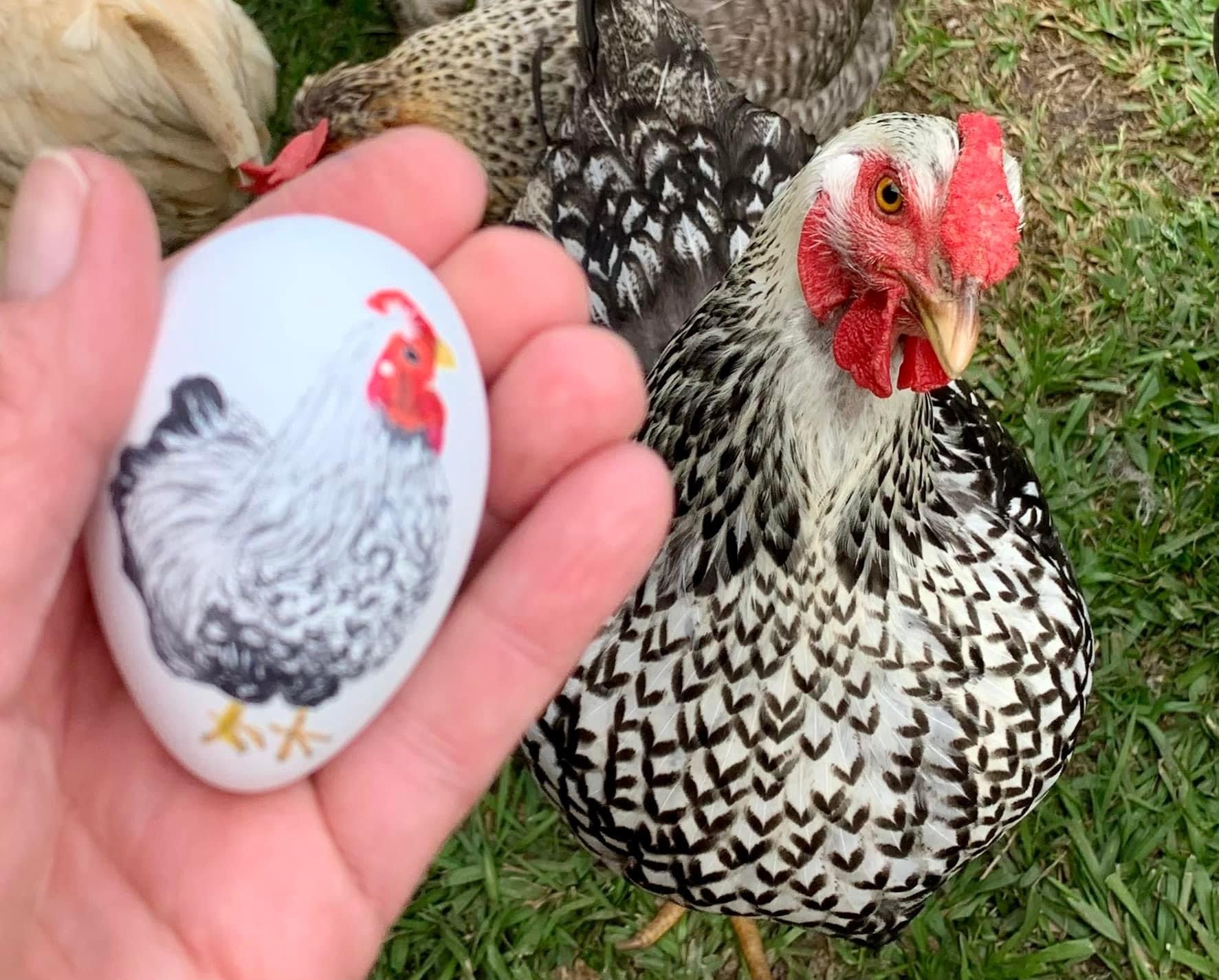 The Artistry of Eggs—A Still Life Photo Contest 3.jpg