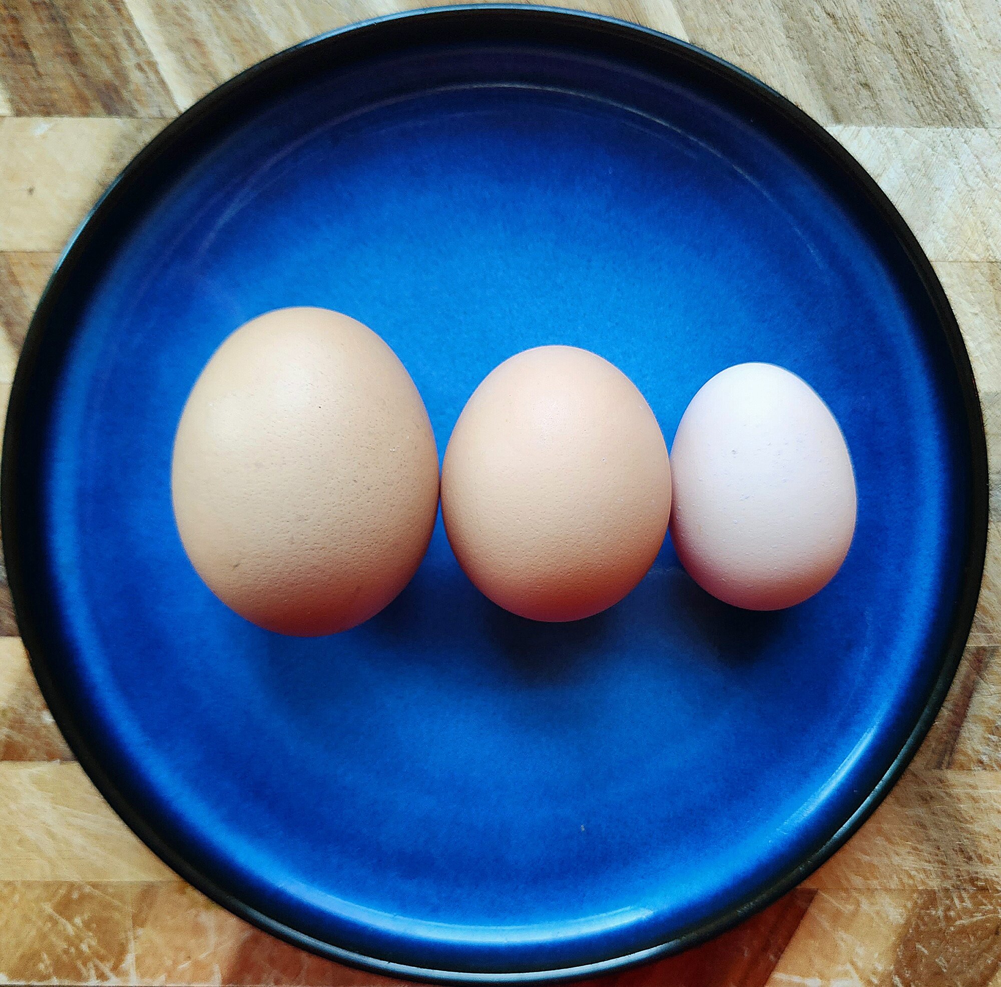 The Artistry of Eggs—A Still Life Photo Contest 7.jpg
