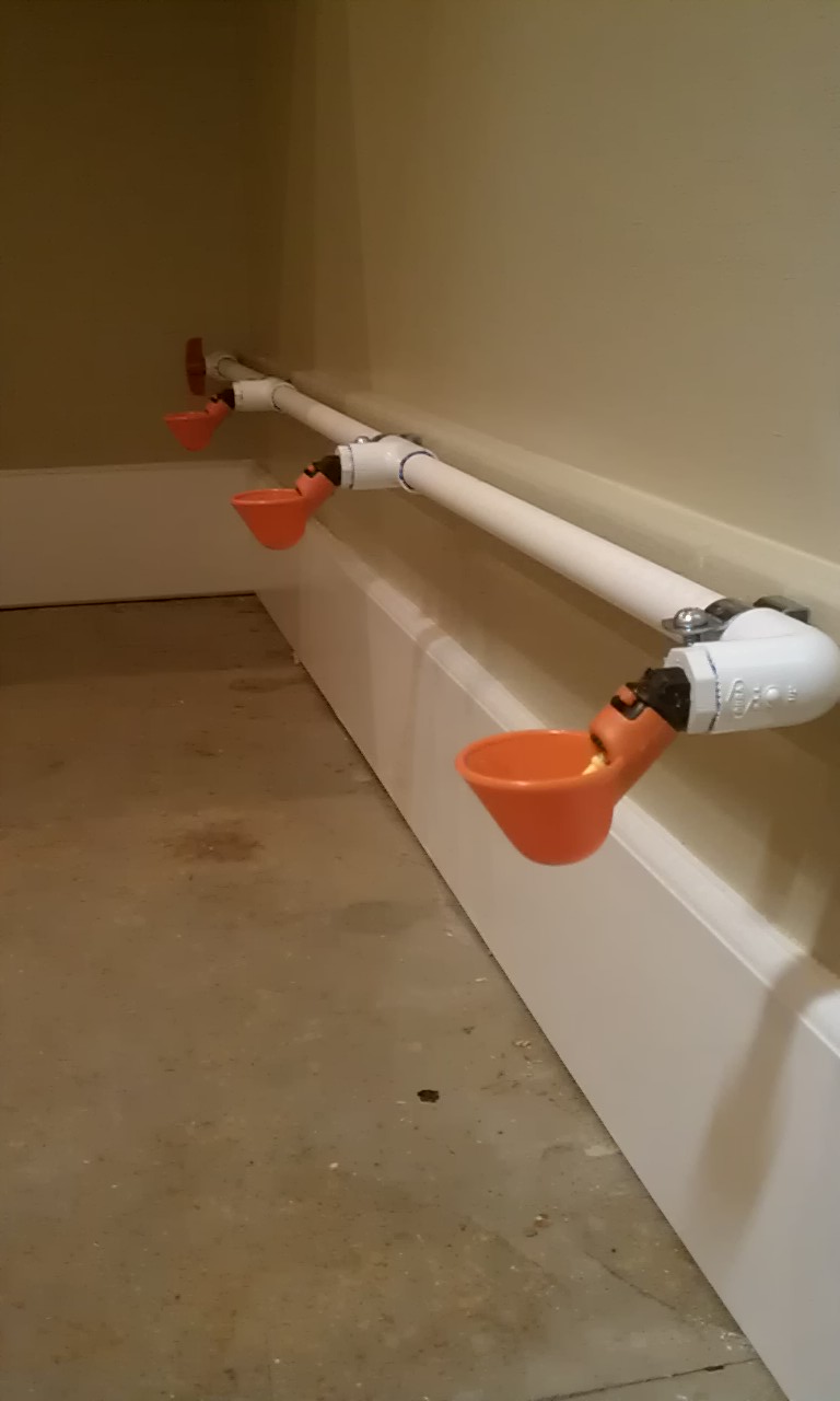 The auto watering cups are hooked directly to the main water supply with a pressure reducing valve.