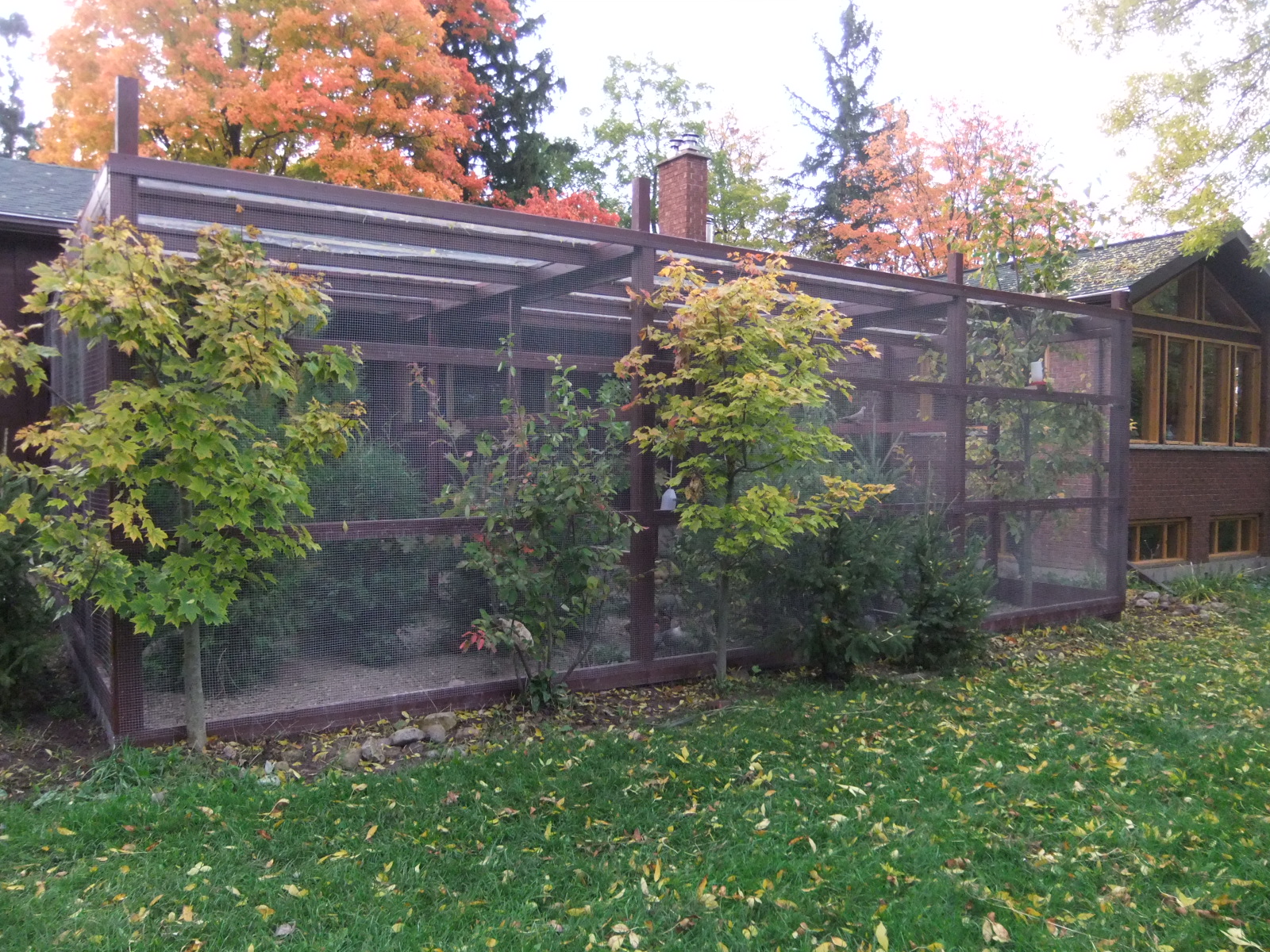 The Aviary