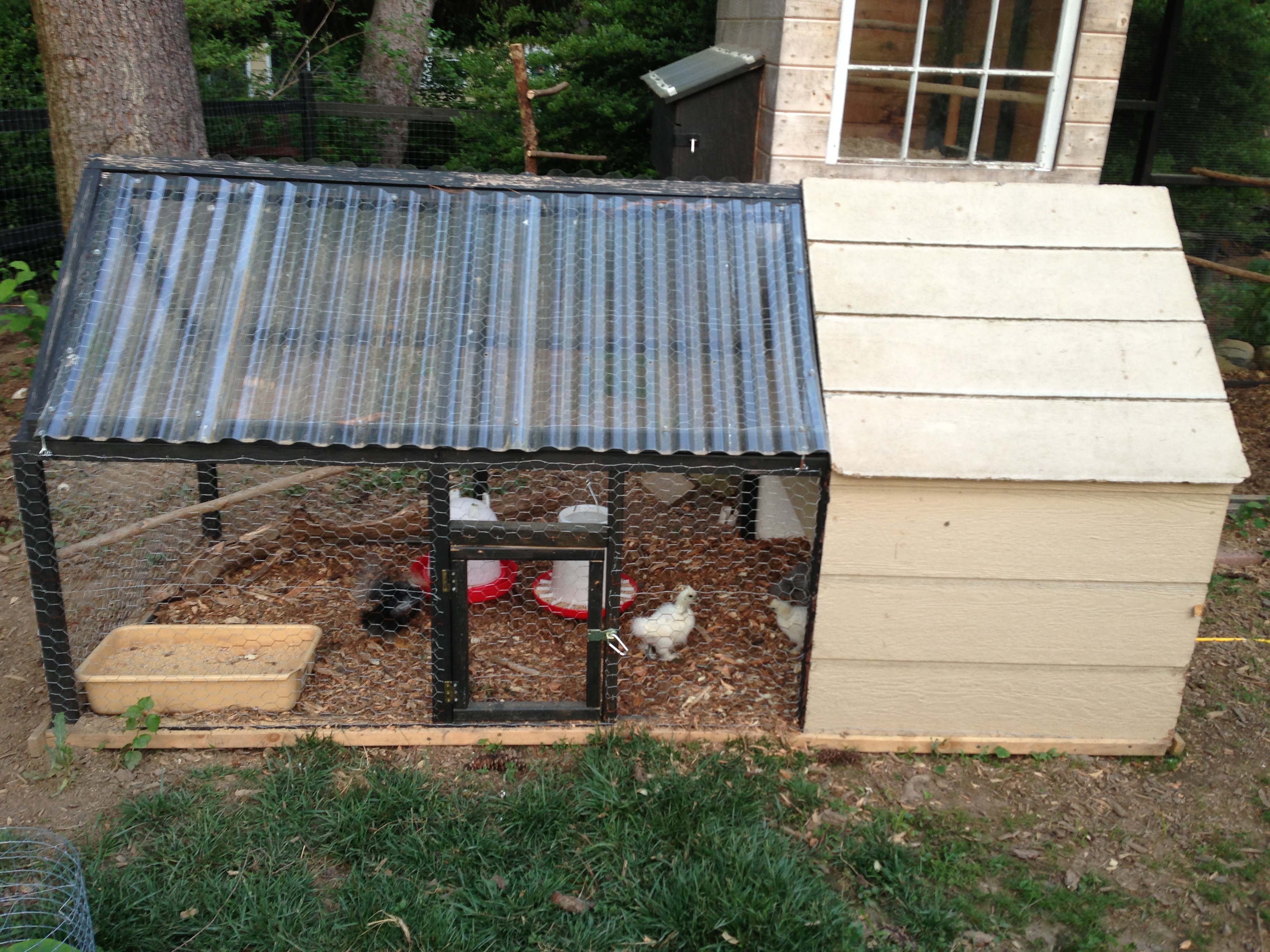 The baby coop. It is movable and is great whenever we need to separate somebody out.