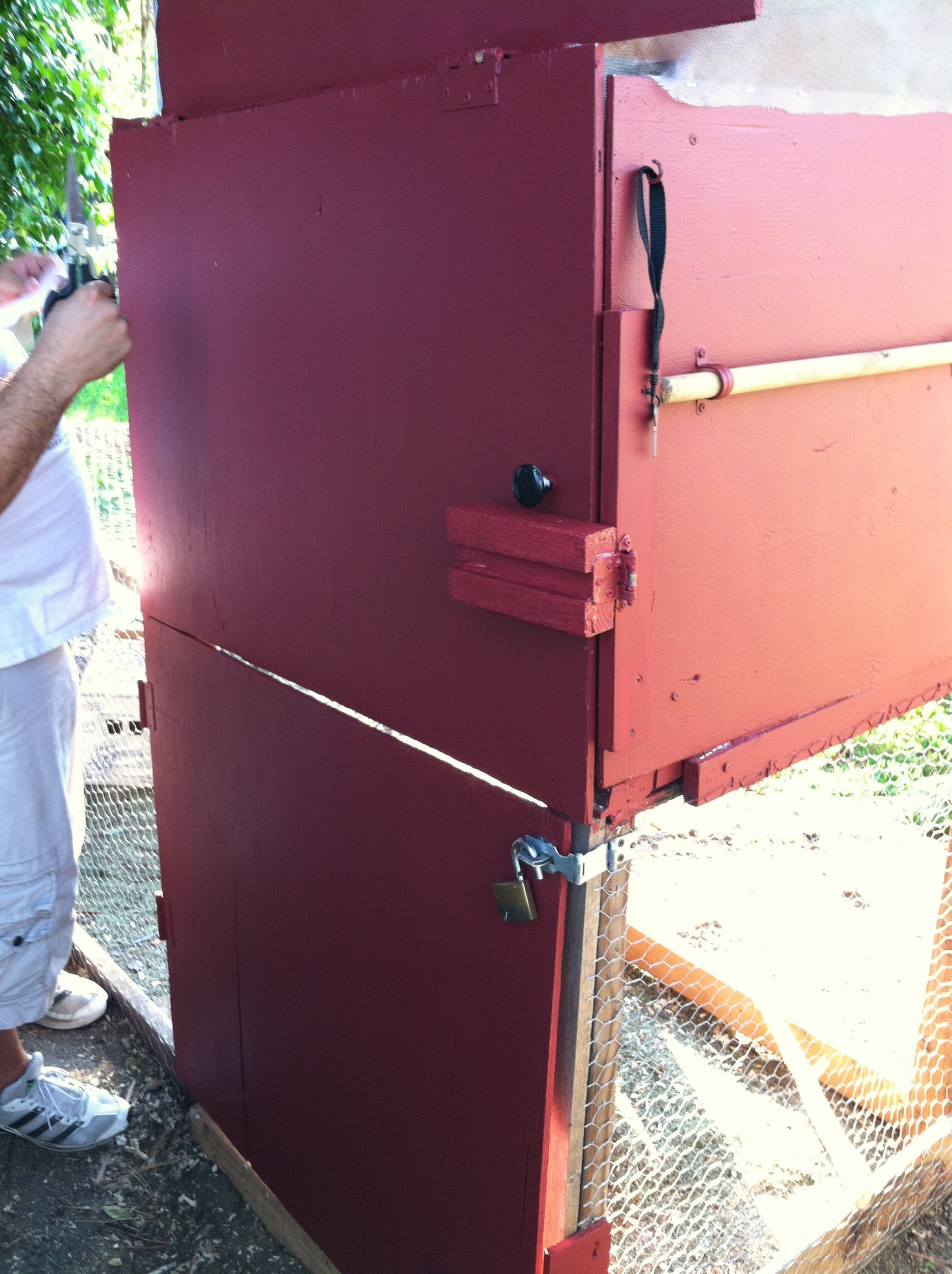 The back of the coop.  two doors, upper door raises up and is propped with the dowel.  lower door is padlocked to keep the 3 year old from letting the chickens out.