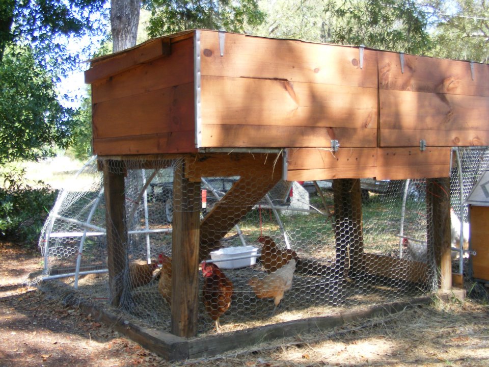 The back of the second coop i built with egg gathering doors