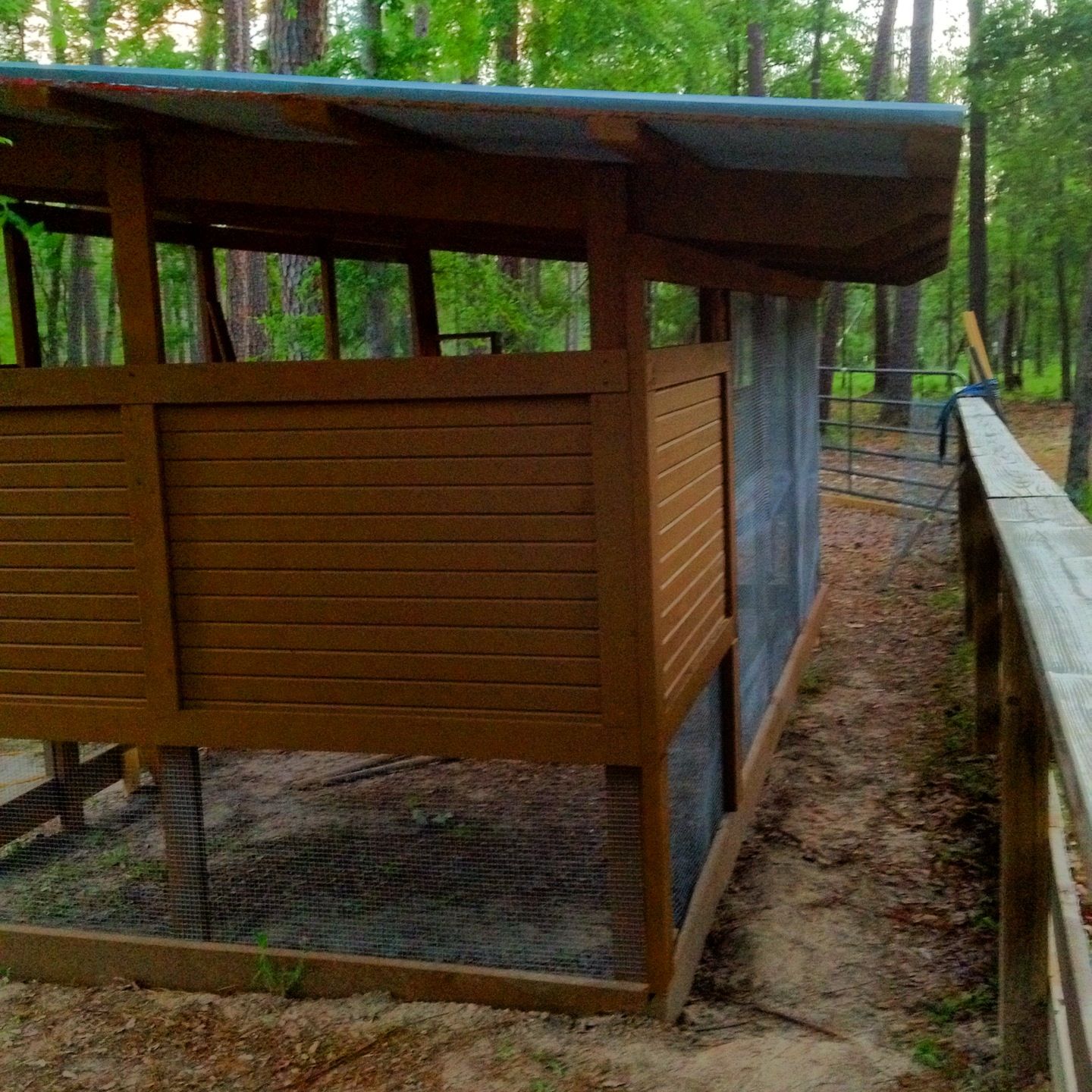THe back side/also future area for egg access door expansion project (husband will kill me)