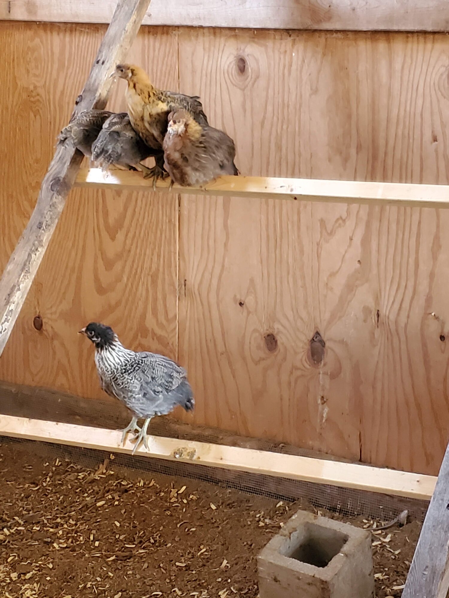 The Barn Group