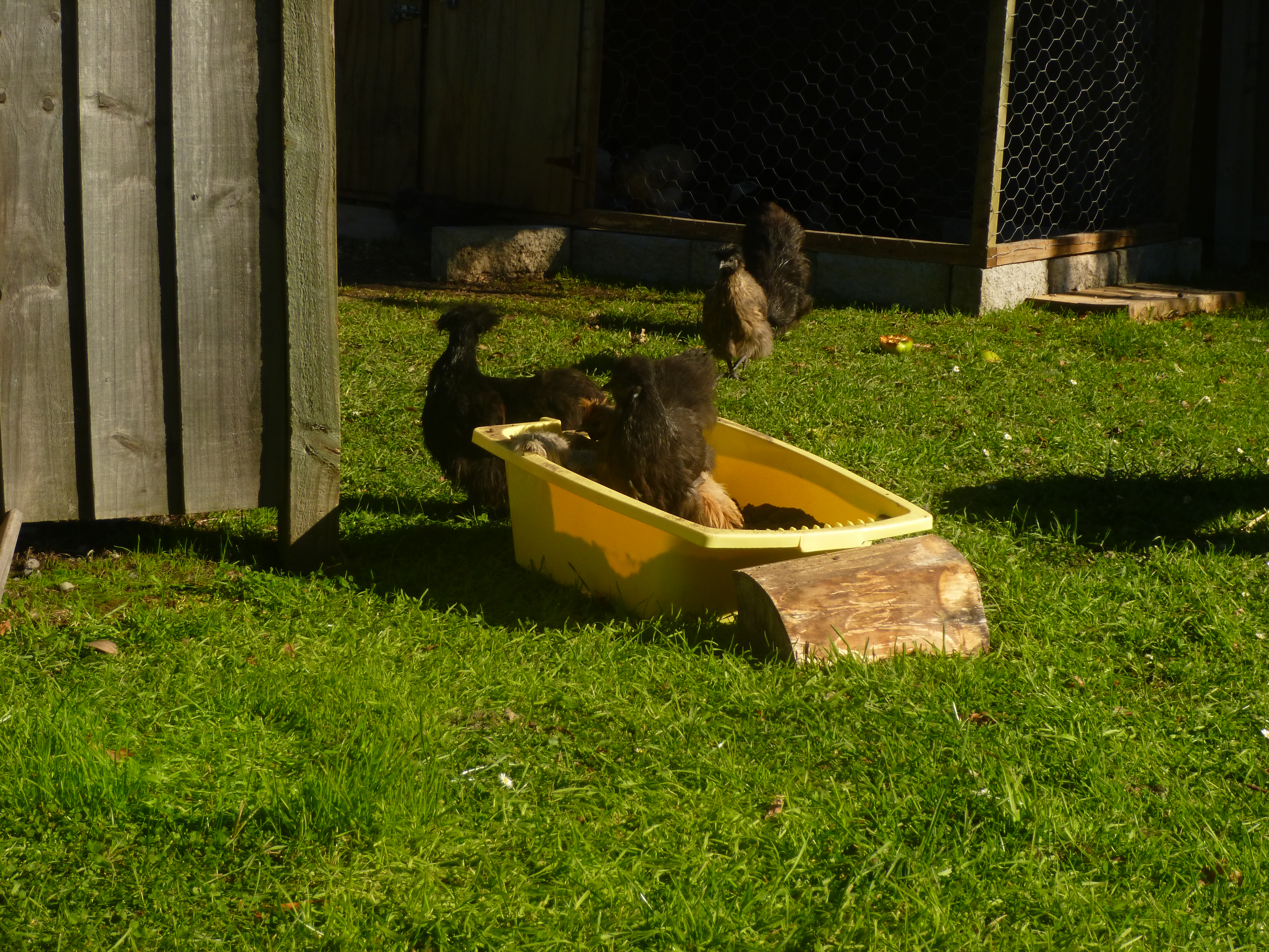 the bath proves to be popular
