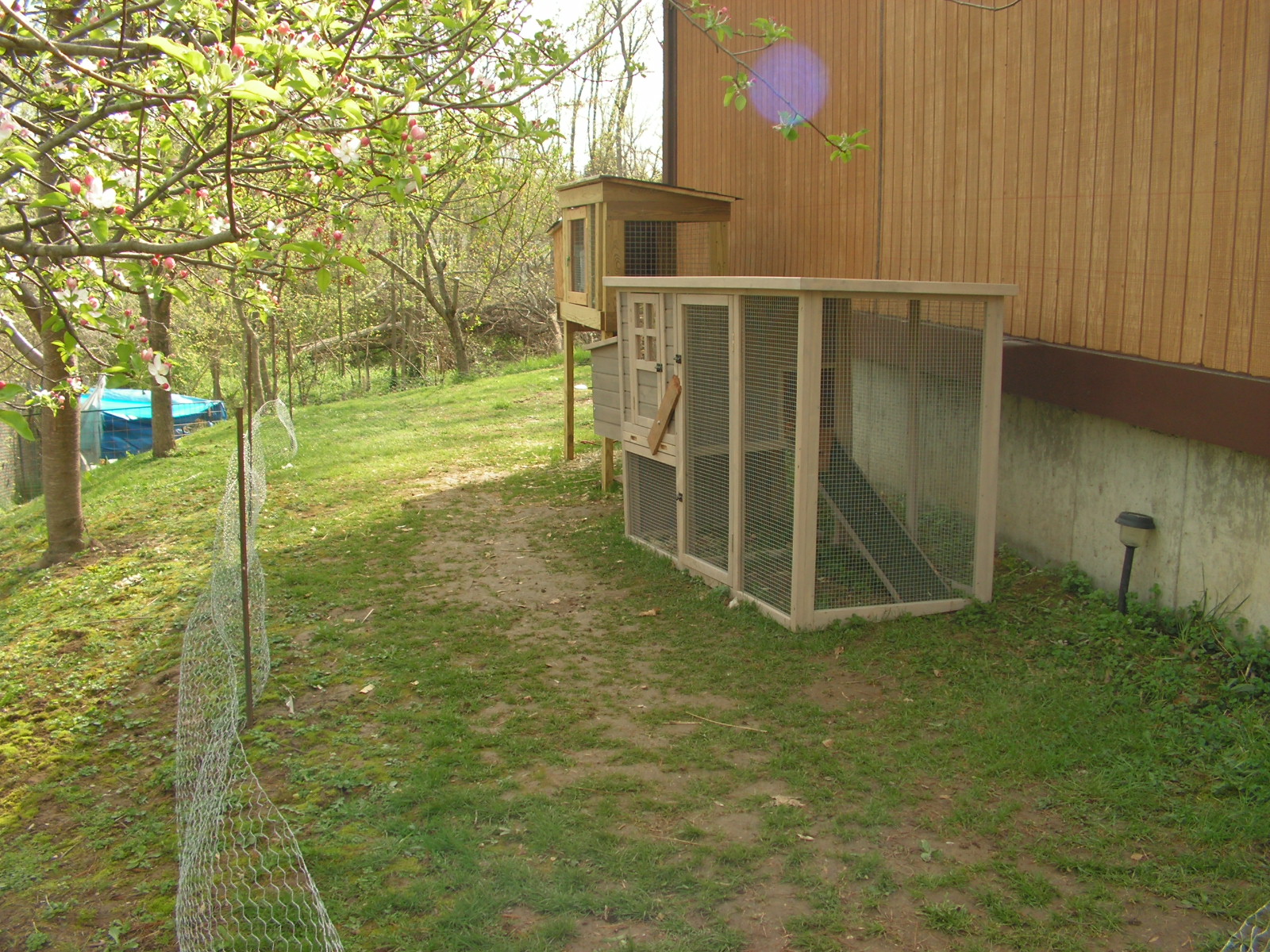 The beginning.... one chicken coop, one rabbit hutch, on fruit tree hill ( we named it because the entire big hill is full of fruit trees... we add one each year :) We have ten trees... when we took this pic, we had 4 chickens. We now have 9 chickens and 1 amazing rooster. My husband is in the process of building a gorgeous two story huge chicken coop for the bigger chicks... then the babies will be kept in this coop because it has a warm box with the light :) We are sooo excited! will post more pics soon!